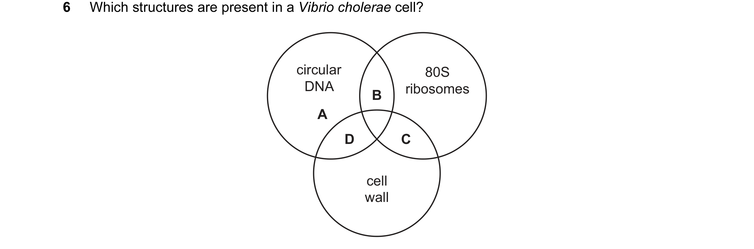 Question 134: Which structures are present in a Vibrio cholerae cell? circular 80S DNA ribosomes B A D C cell wall
