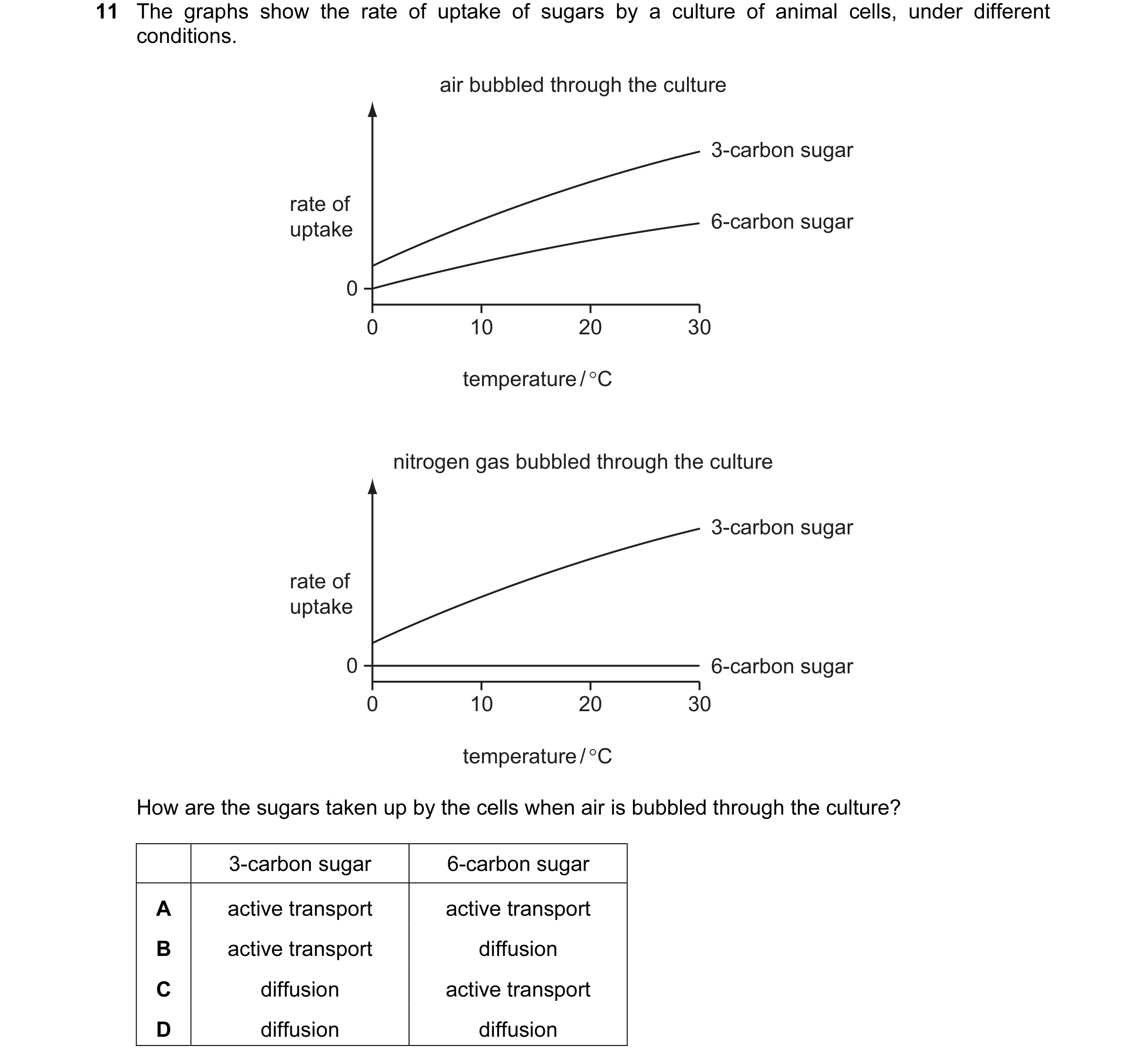 Question 50: The graphs show the rate of uptake of sugars by a culture of animal cells, under different conditions. air bubbled through the culture 3-ca…