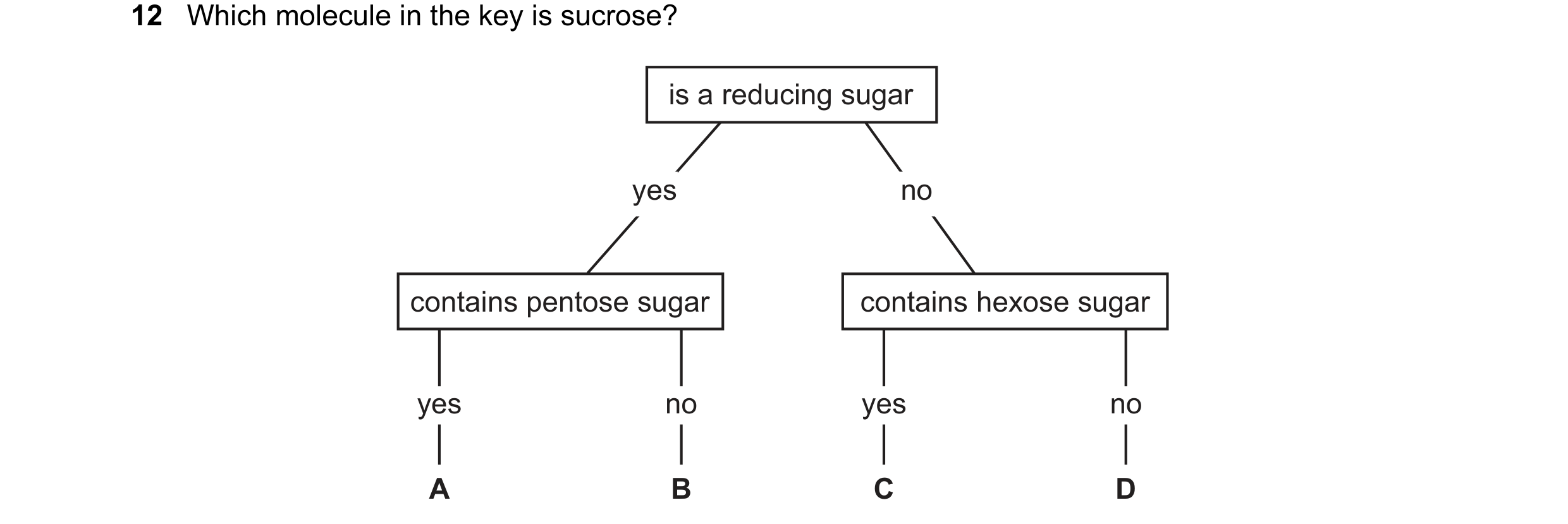 Question 65: Which molecule in the key is sucrose? is a reducing sugar yes no contains pentose sugar contains hexose sugar yes no yes no A B C D