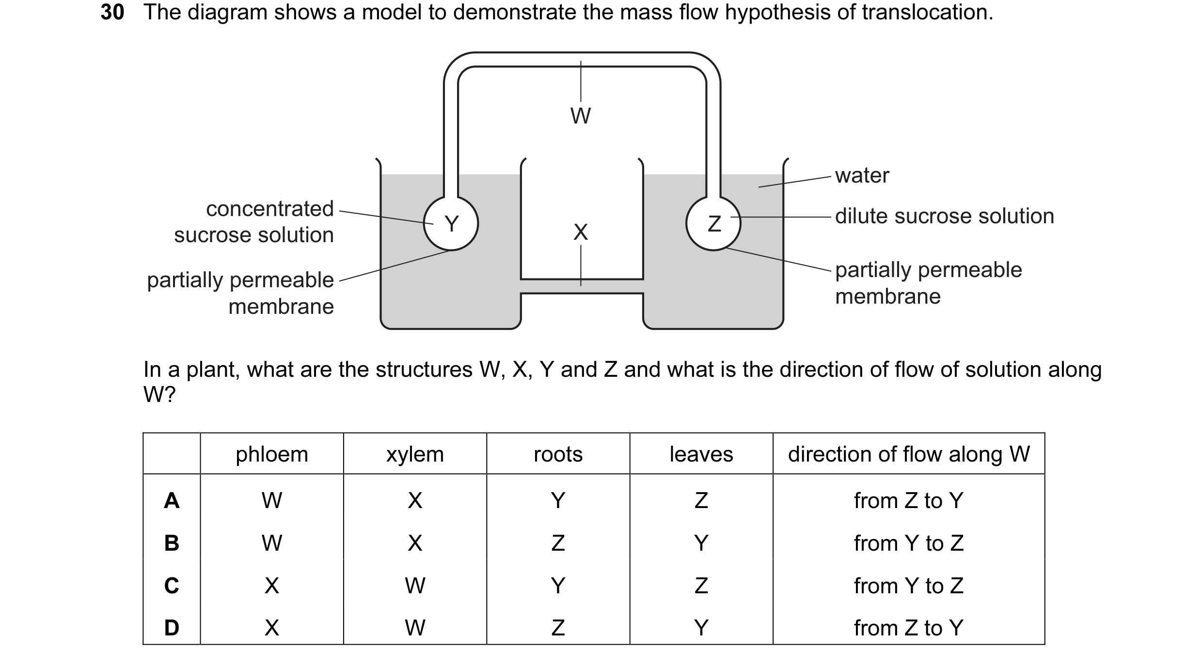 Question 57: The diagram shows a model to demonstrate the mass flow hypothesis of translocation. W water concentrated dilute sucrose solution Y X Z sucr…