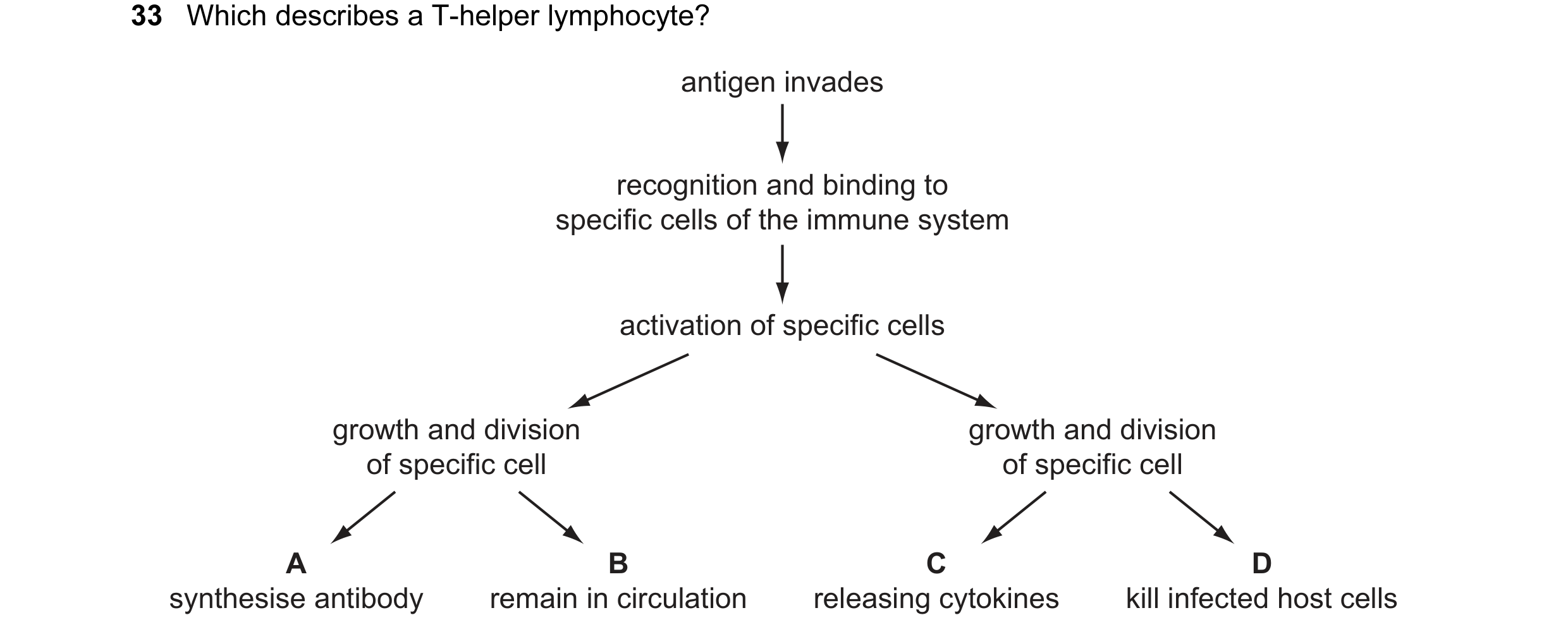 Question 29: Which describes a T-helper lymphocyte? antigen invades recognition and binding to specific cells of the immune system activation of specifi…
