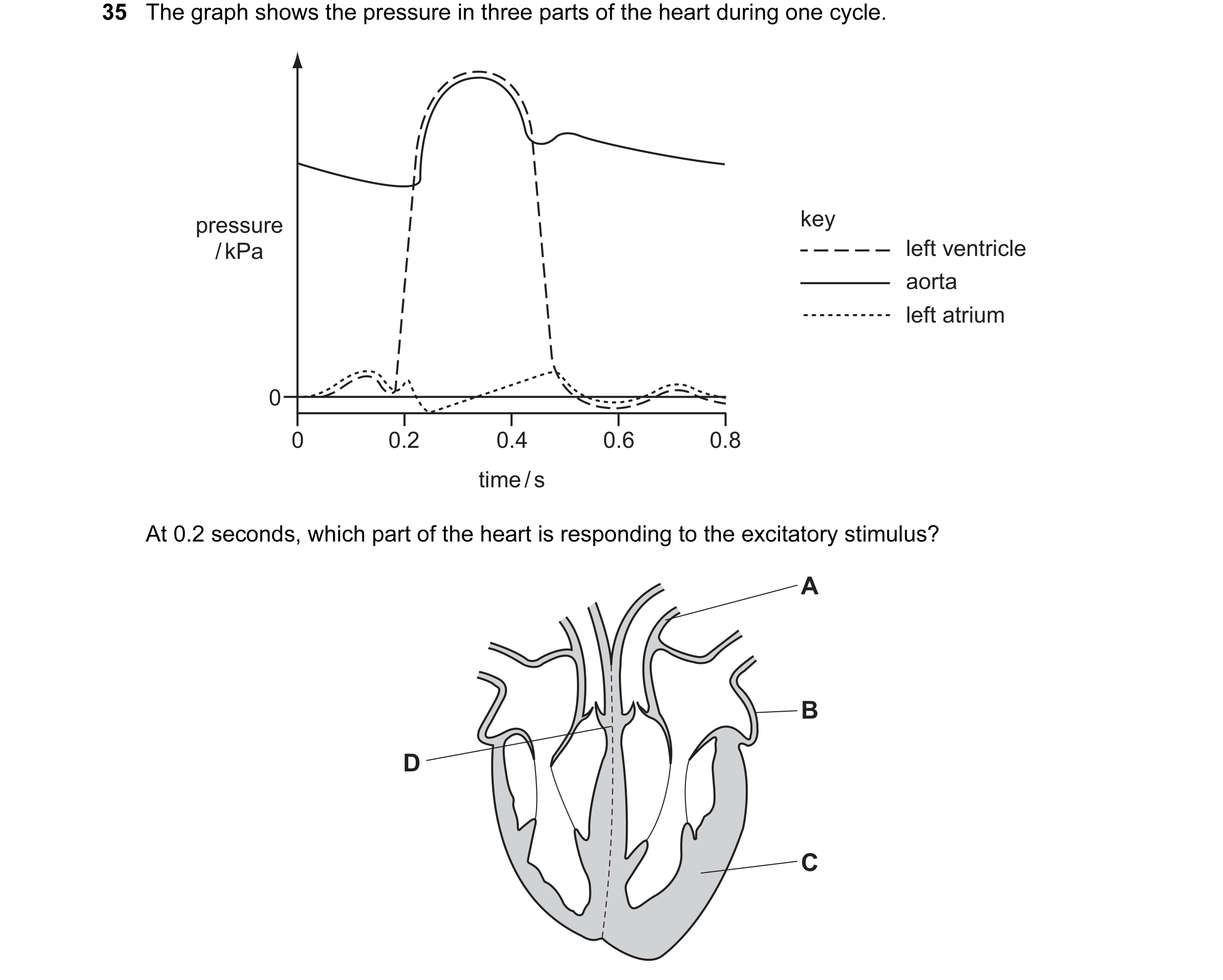 Question 28: The graph shows the pressure in three parts of the heart during one cycle. pressure key / kPa left ventricle aorta left atrium 0 0 0.2 0.4 …
