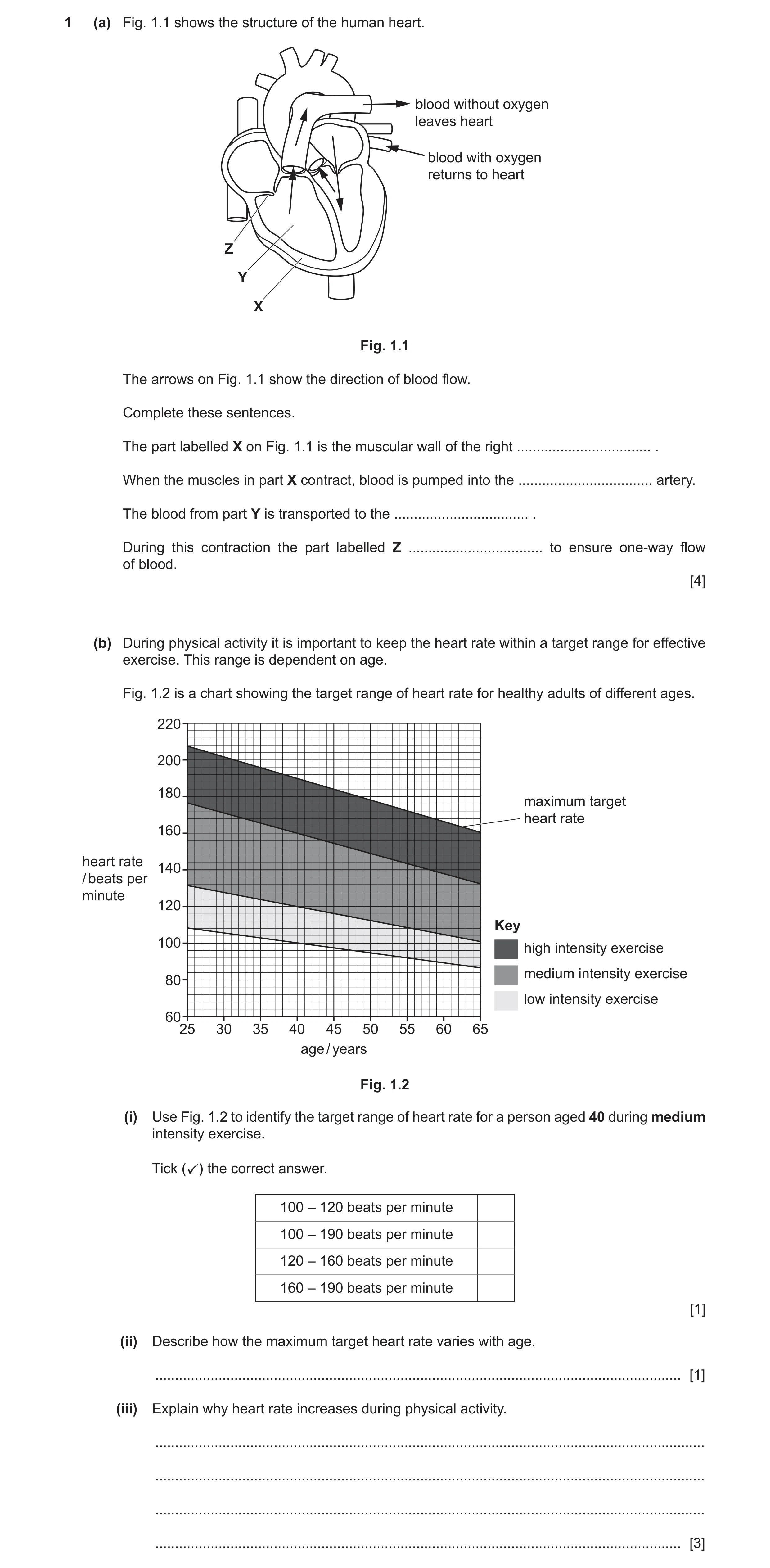 Question 19: (a) Fig. 1.1 shows the structure of the human heart. blood without oxygen leaves heart blood with oxygen returns to heart Z Y X Fig. 1.1 Th…