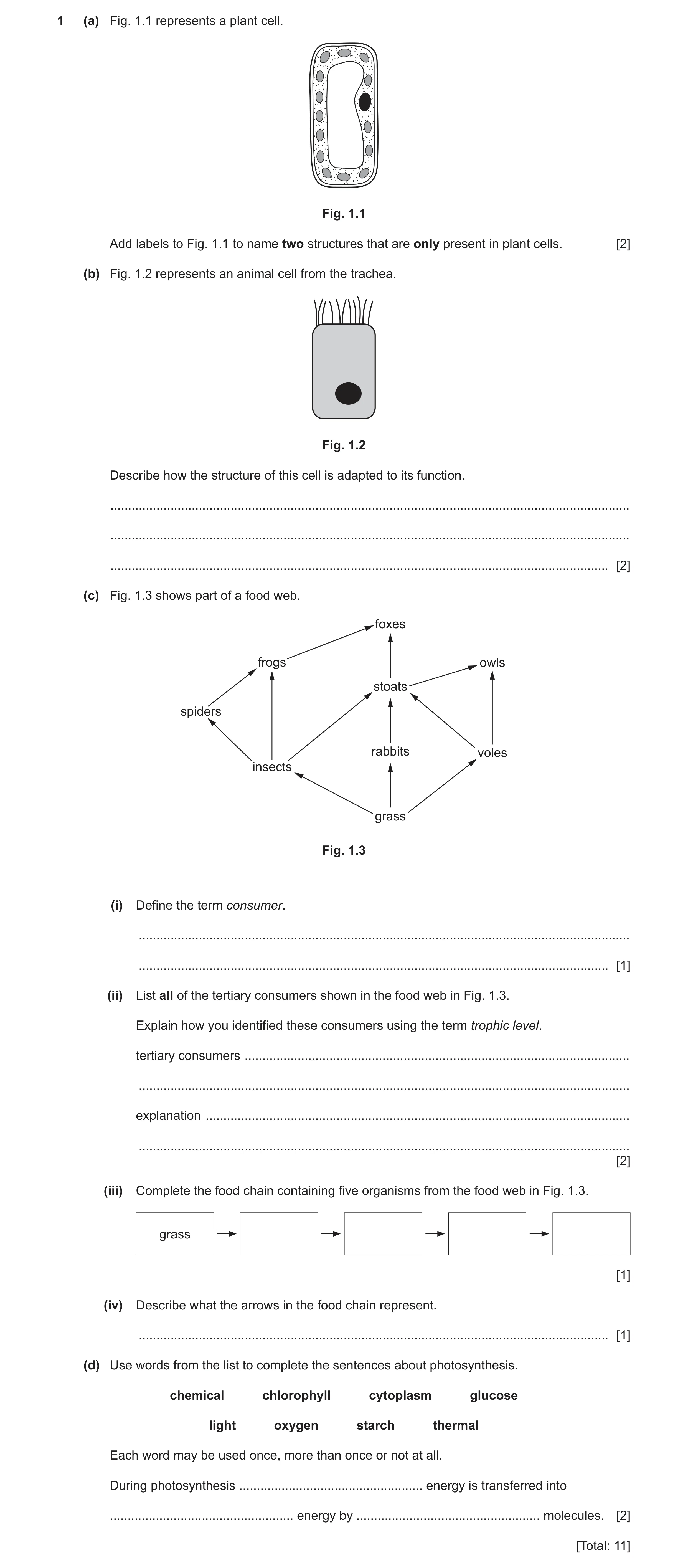 Question 6: (a) Fig. 1.1 represents a plant cell. Fig. 1.1 Add labels to Fig. 1.1 to name two structures that are only present in plant cells. [2] (b) …