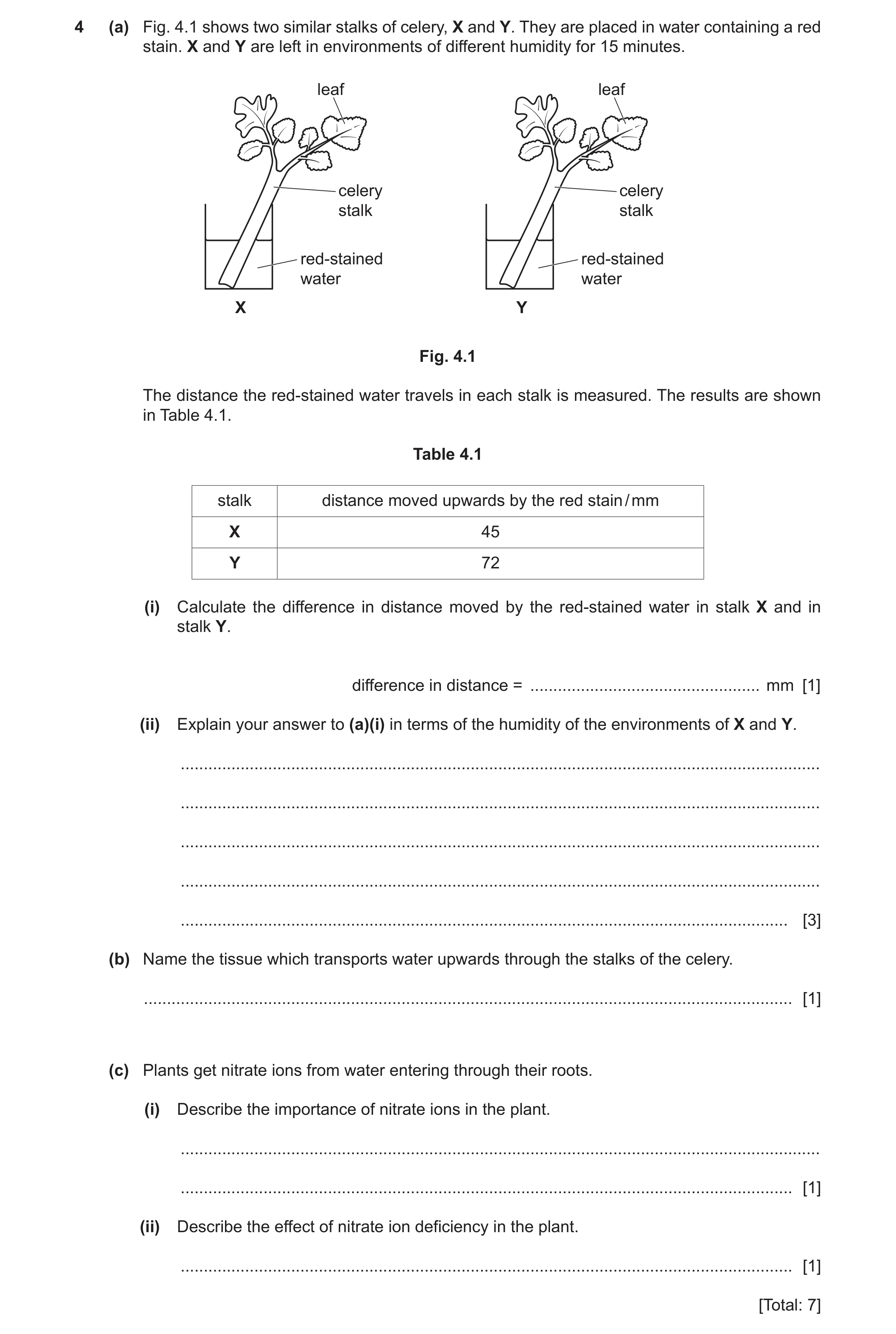 Question 6: (a) Fig. 4.1 shows two similar stalks of celery, X and Y. They are placed in water containing a red stain. X and Y are left in environments…