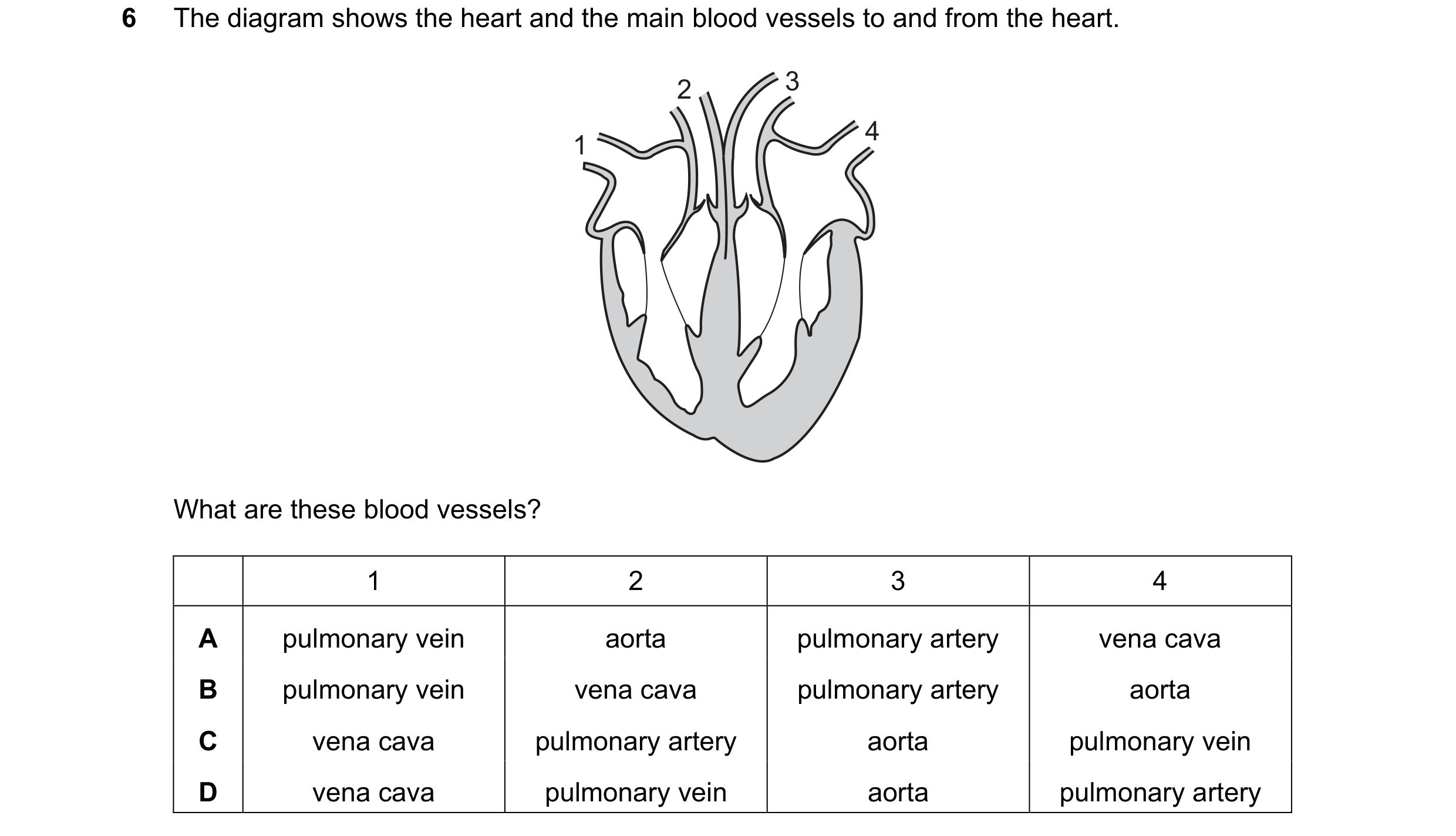 Question 25: The diagram shows the heart and the main blood vessels to and from the heart. 2 3 4 1 What are these blood vessels? 1 2 3 4 A pulmonary vei…