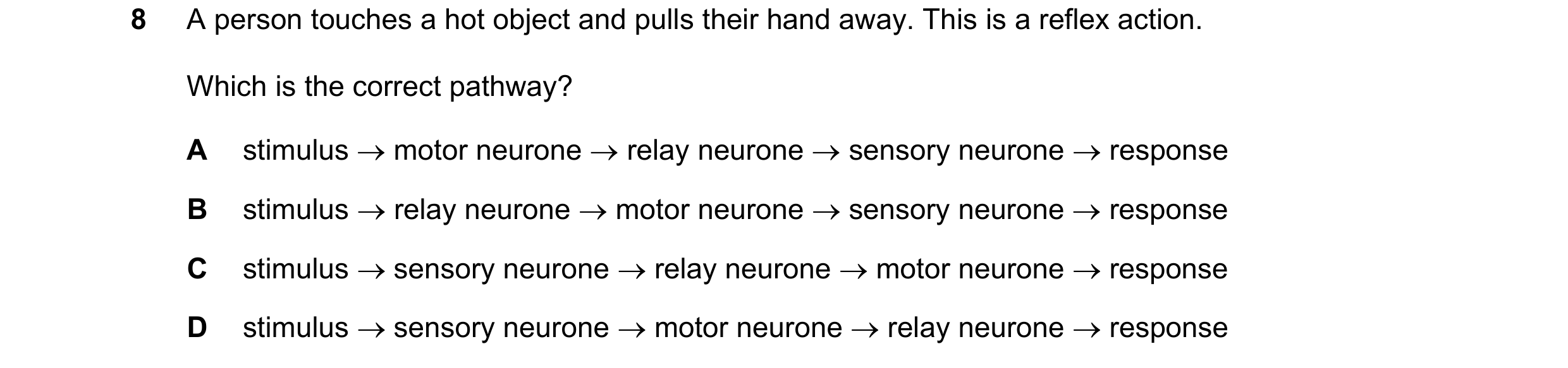 Question 52: A person touches a hot object and pulls their hand away. This is a reflex action. Which is the correct pathway? A stimulus → motor neurone …