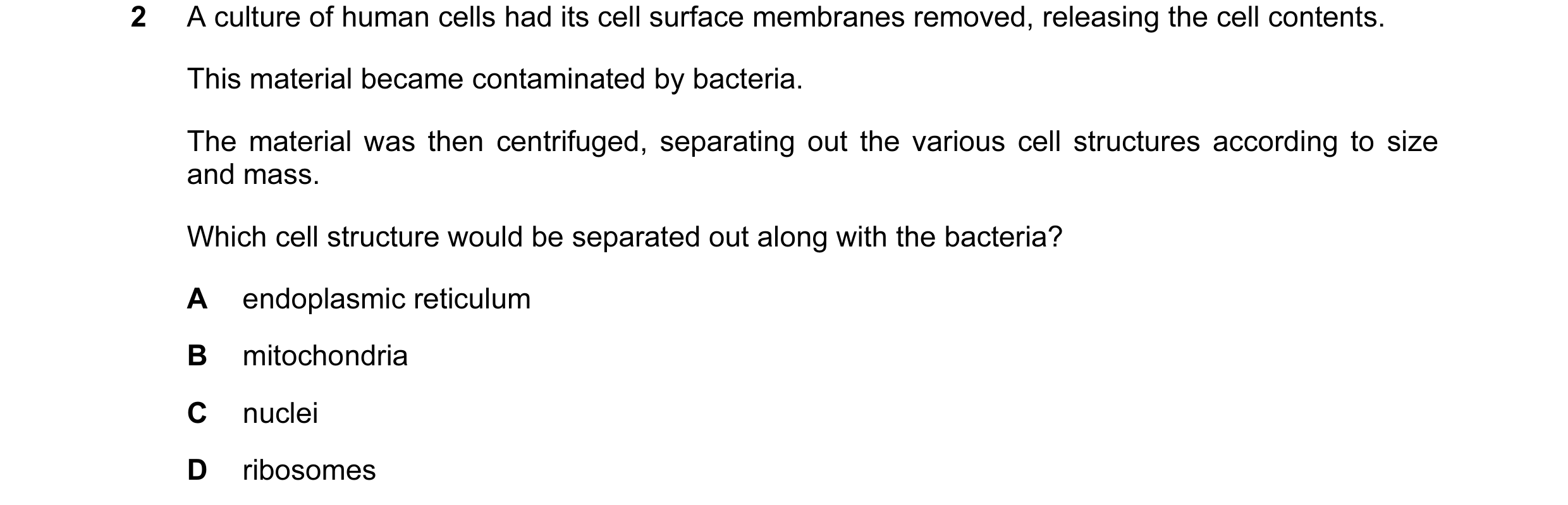 Question 96: A culture of human cells had its cell surface membranes removed, releasing the cell contents. This material became contaminated by bacteria…