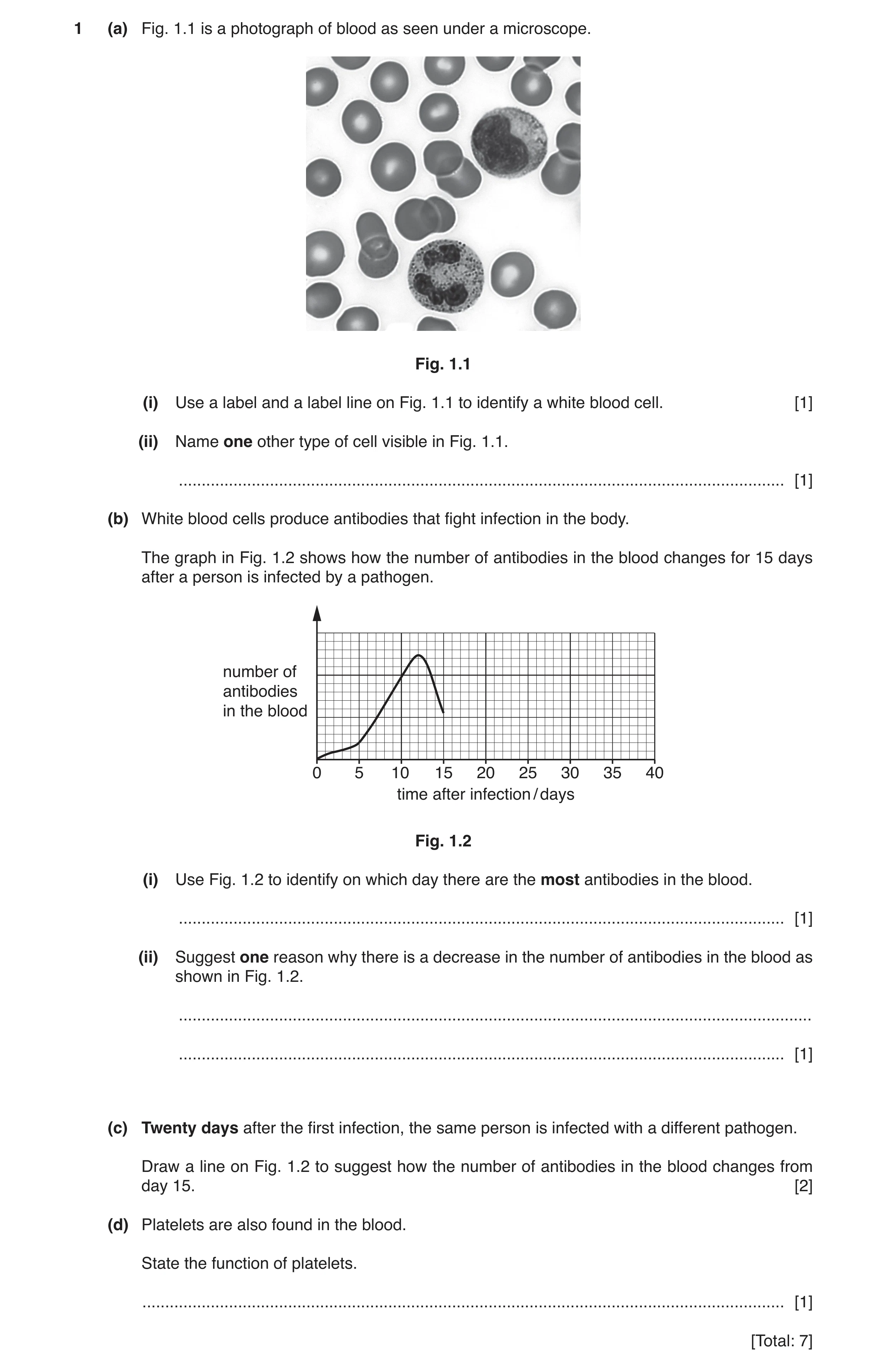 Question 3: (a) Fig. 1.1 is a photograph of blood as seen under a microscope. Fig. 1.1 (i) Use a label and a label line on Fig. 1.1 to identify a white…