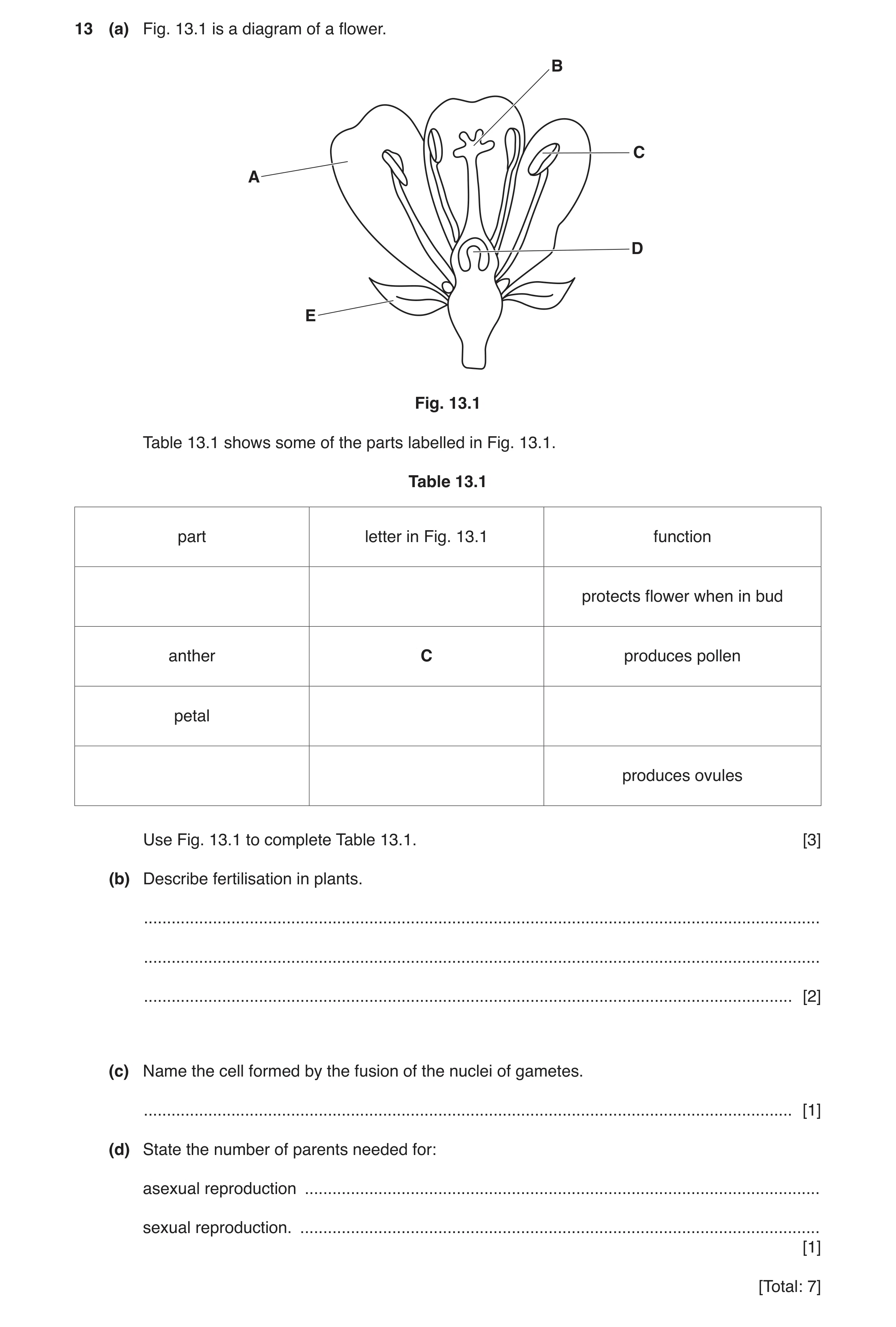 Question 5: (a) Fig. 13.1 is a diagram of a flower. B C A D E Fig. 13.1 Table 13.1 shows some of the parts labelled in Fig. 13.1. Table 13.1 part lette…