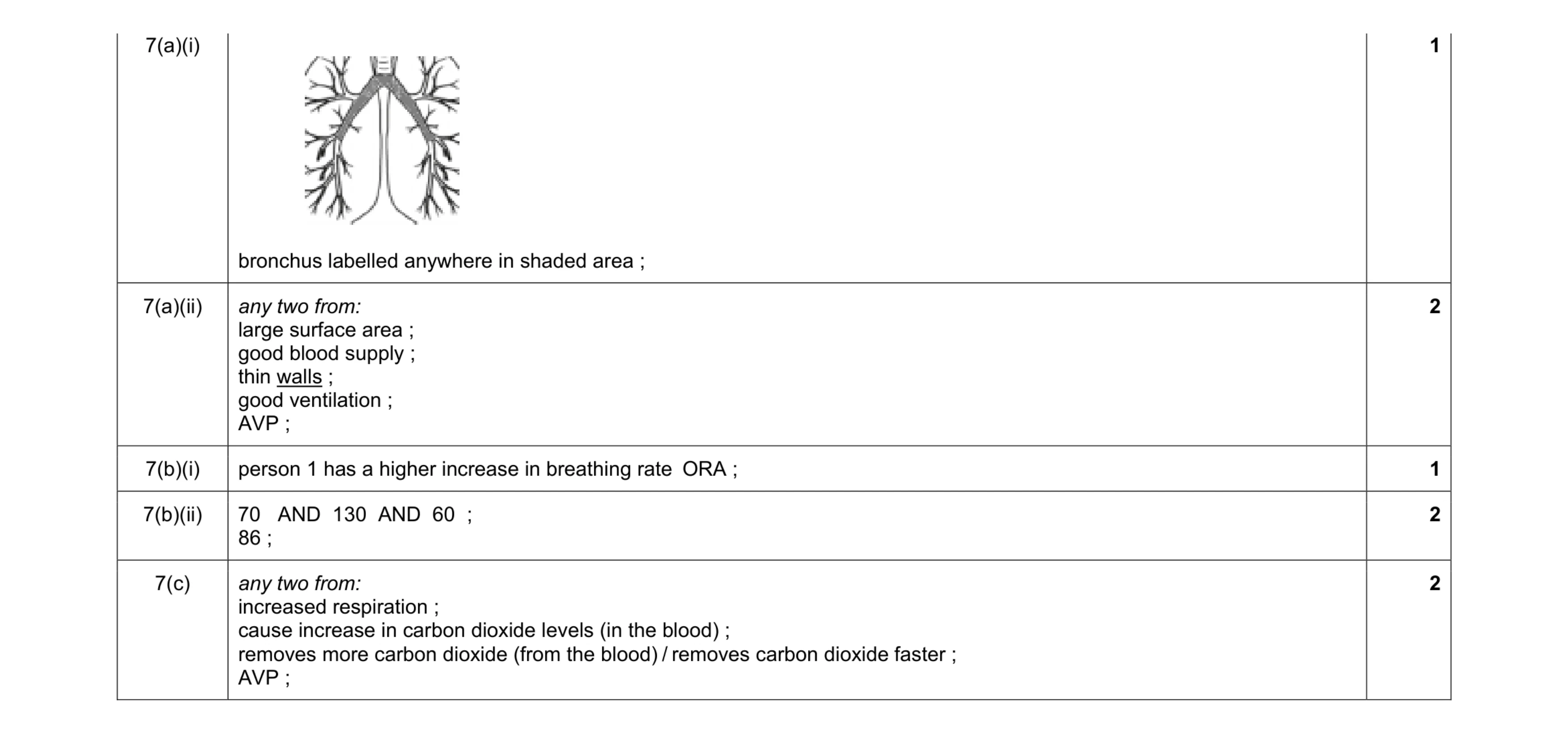 Mark scheme for question 13