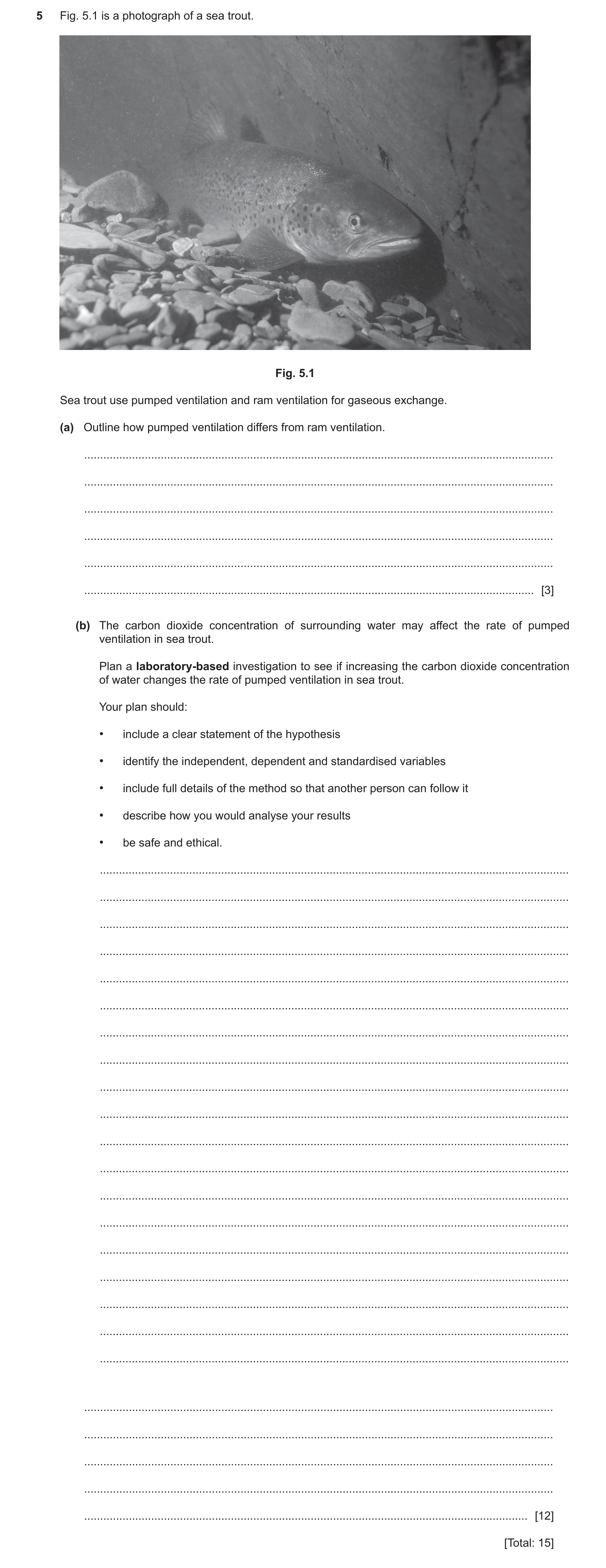 Question 10: Fig. 5.1 is a photograph of a sea trout. Fig. 5.1 Sea trout use pumped ventilation and ram ventilation for gaseous exchange. (a) Outline ho…