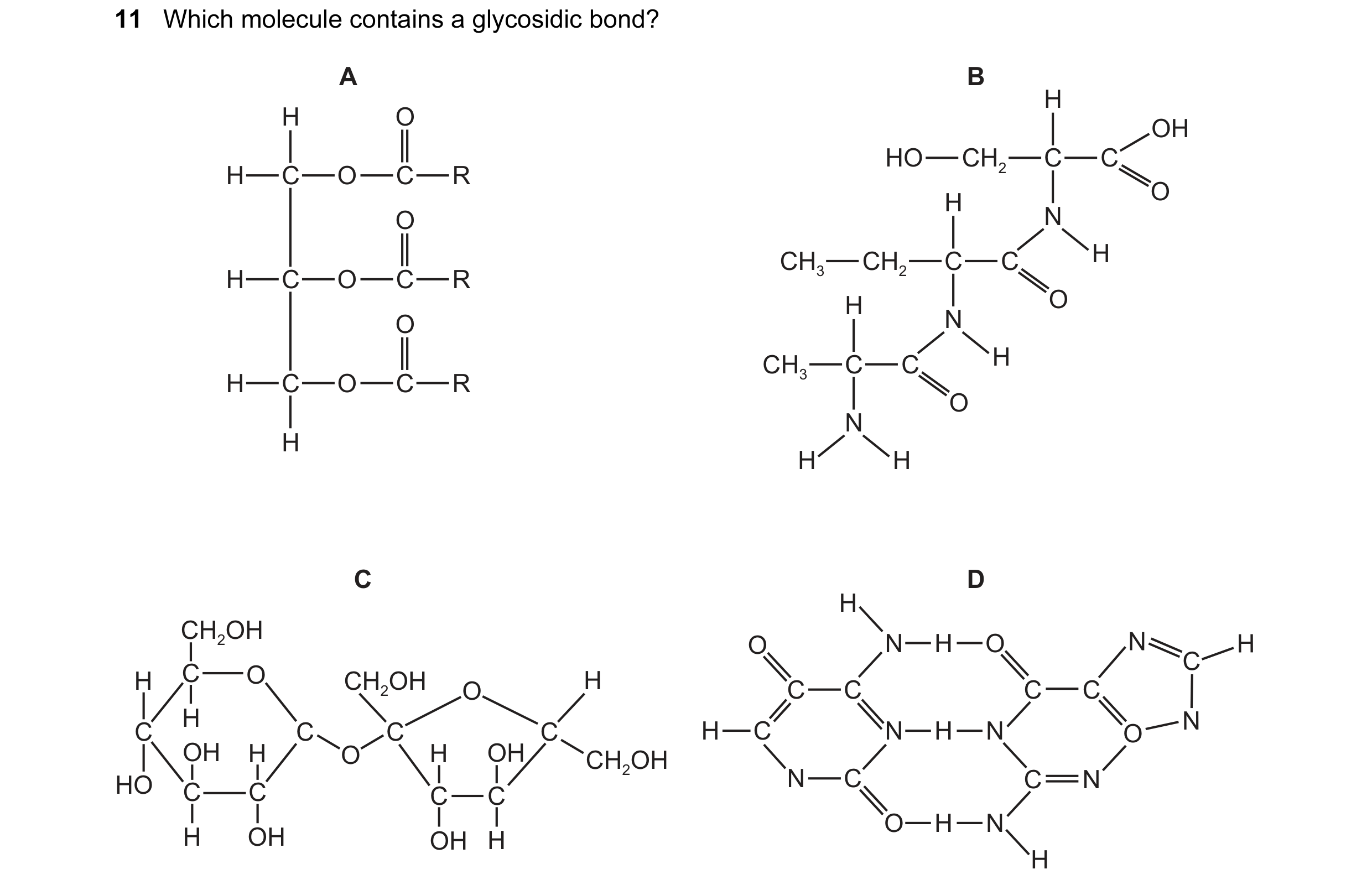 Question 73: Which molecule contains a glycosidic bond? A B H H O OH HO CH2 C C H C O C R H O O N CH3 CH2 C C H H C O C R H O O N CH3 C C H H C O C R O …