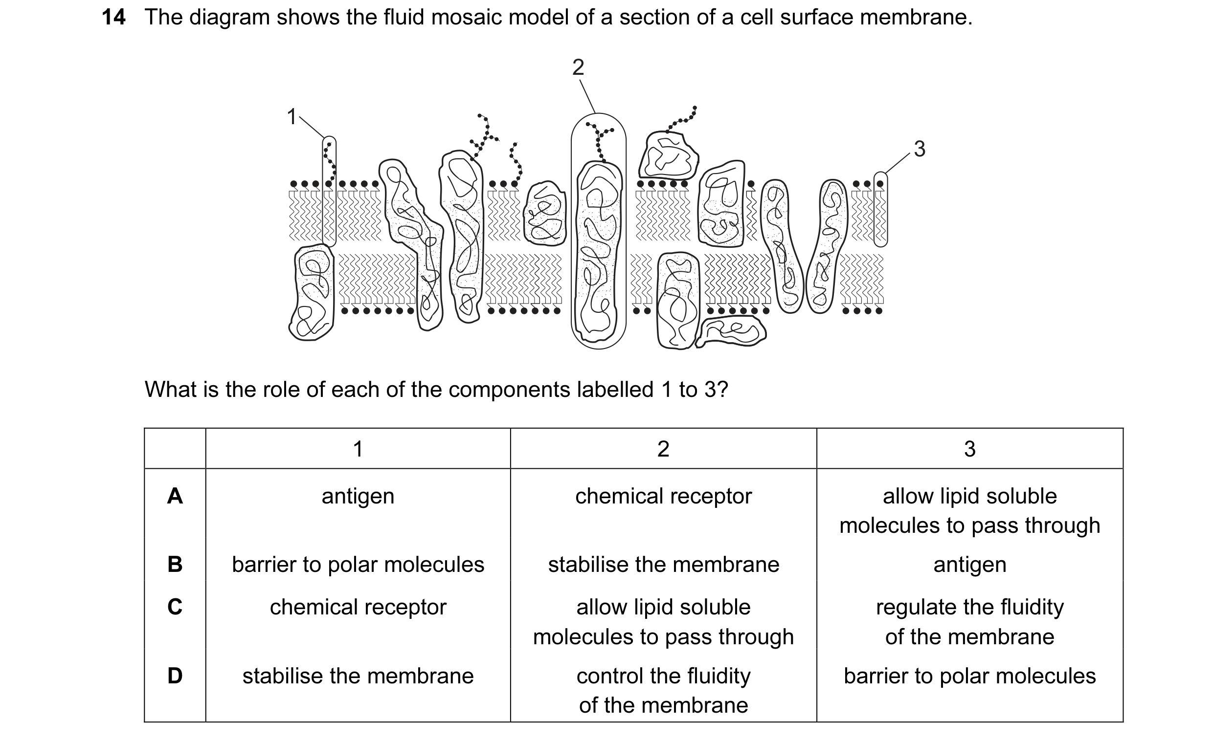 Question 38: The diagram shows the fluid mosaic model of a section of a cell surface membrane. 2 1 3 What is the role of each of the components labelled…