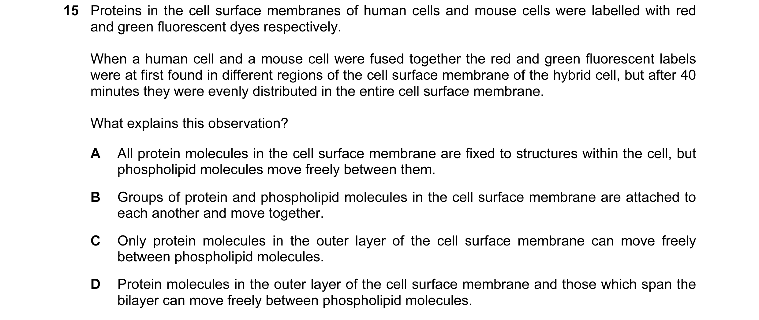 Question 39: Proteins in the cell surface membranes of human cells and mouse cells were labelled with red and green fluorescent dyes respectively. When …