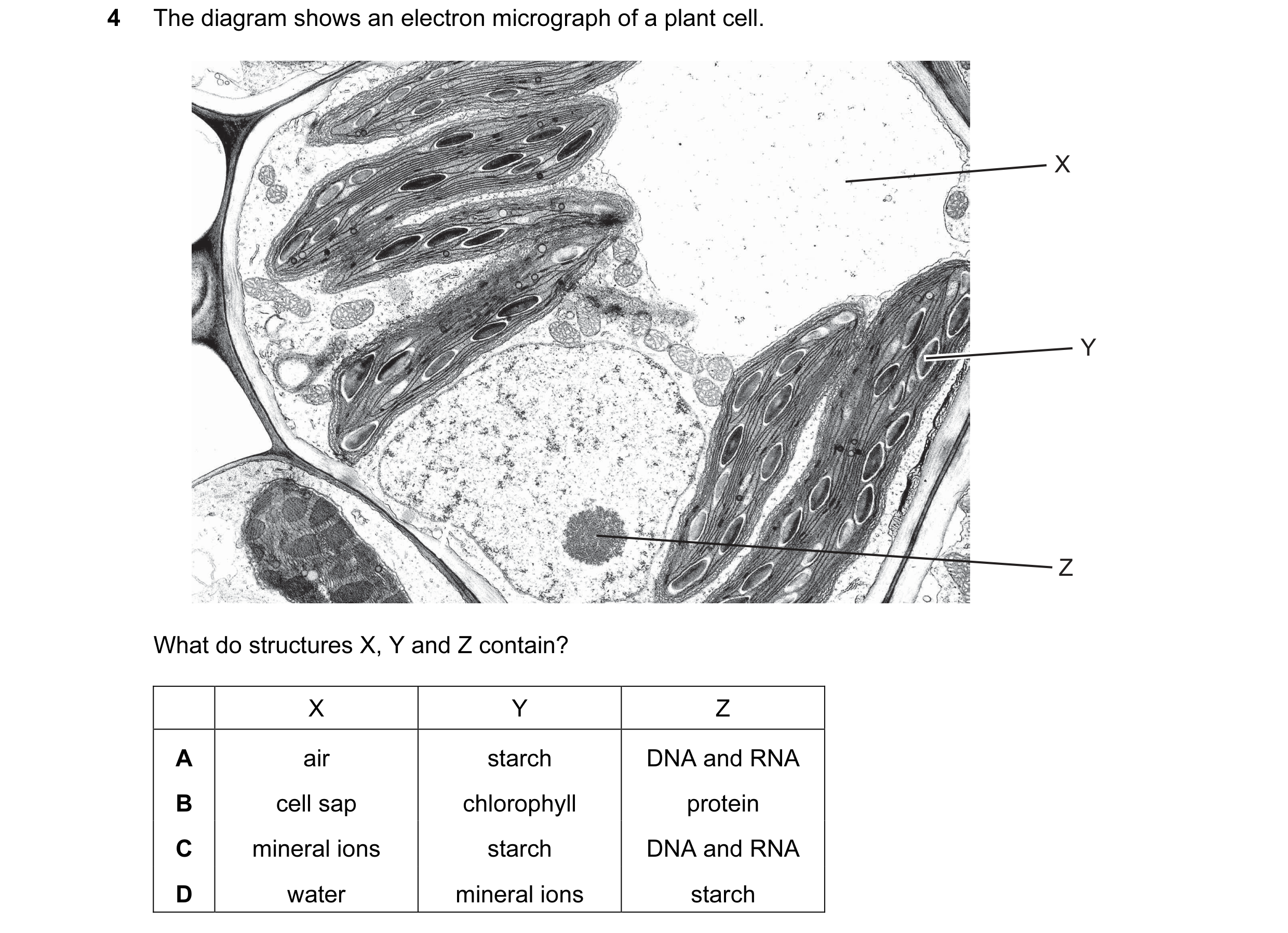 Question 95: The diagram shows an electron micrograph of a plant cell. X Y Z What do structures X, Y and Z contain? X Y Z A air starch DNA and RNA B cel…