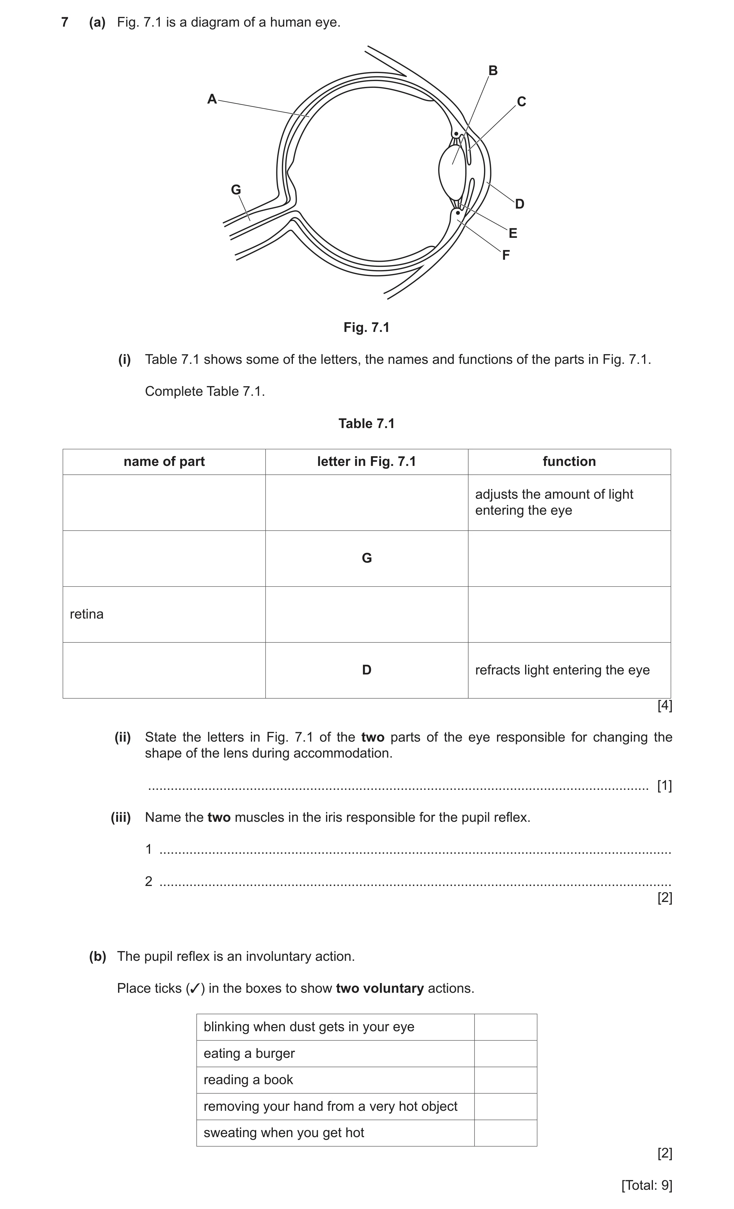 Question 11: (a) Fig. 7.1 is a diagram of a human eye. B A C G D E F Fig. 7.1 (i) Table 7.1 shows some of the letters, the names and functions of the pa…