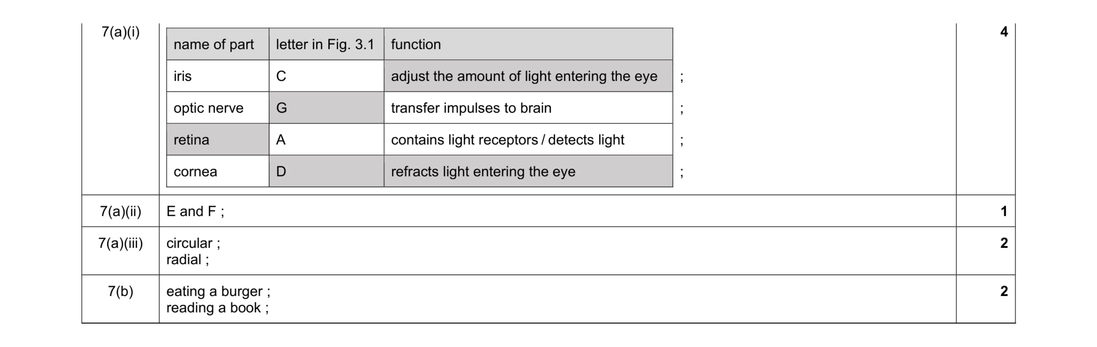 Mark scheme for question 11