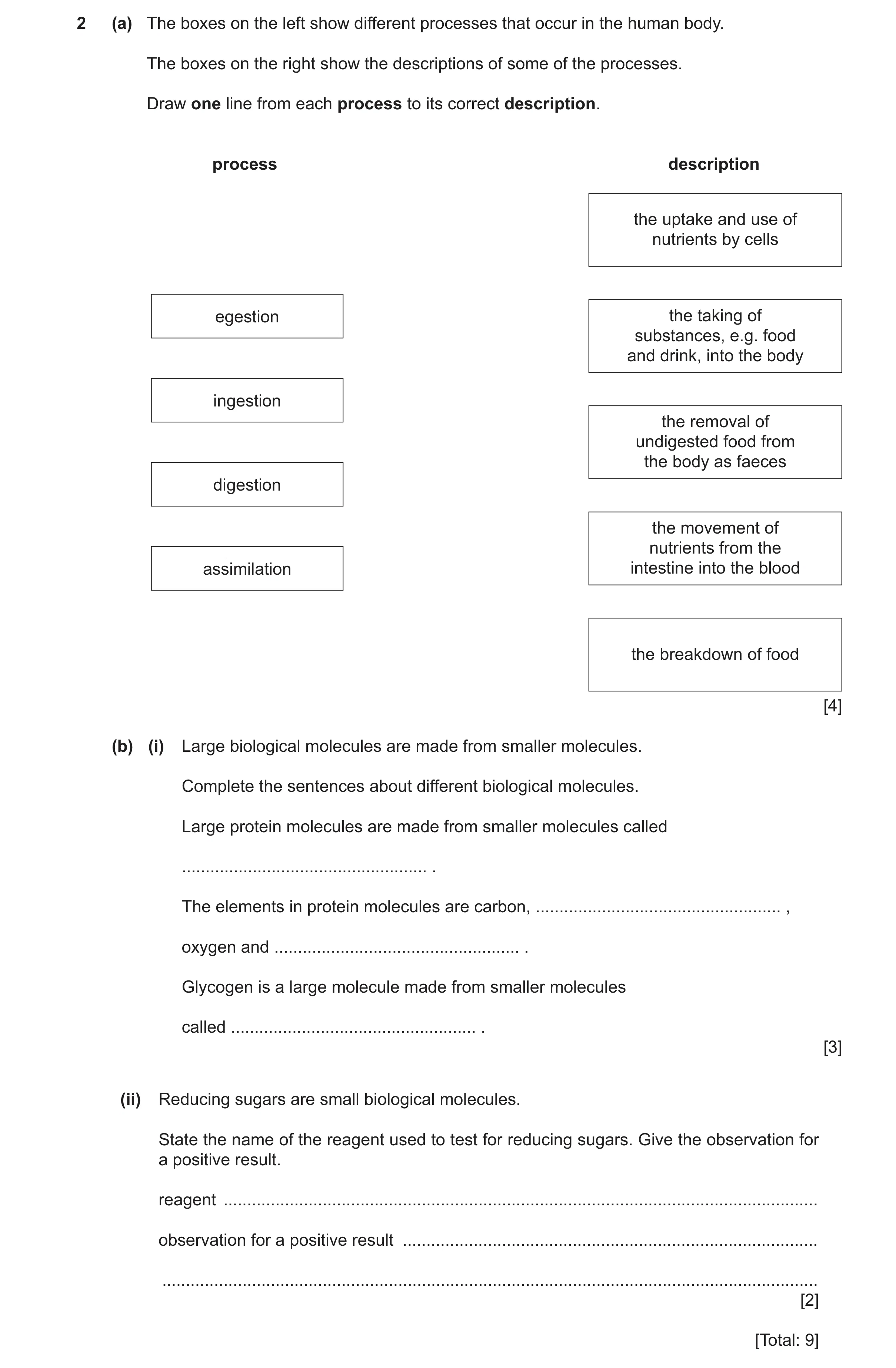 Question 19: (a) The boxes on the left show different processes that occur in the human body. The boxes on the right show the descriptions of some of th…