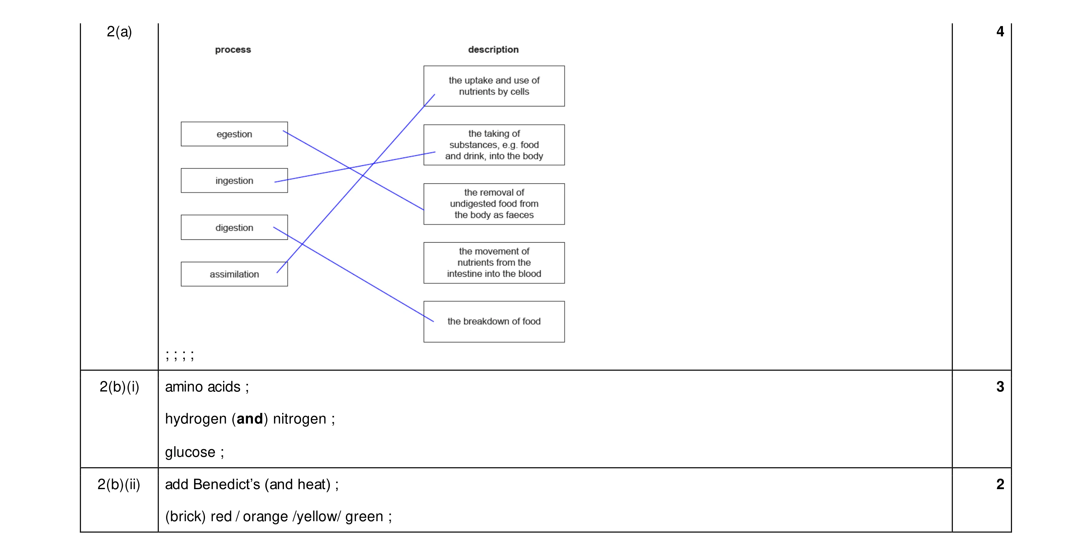 Mark scheme for question 19