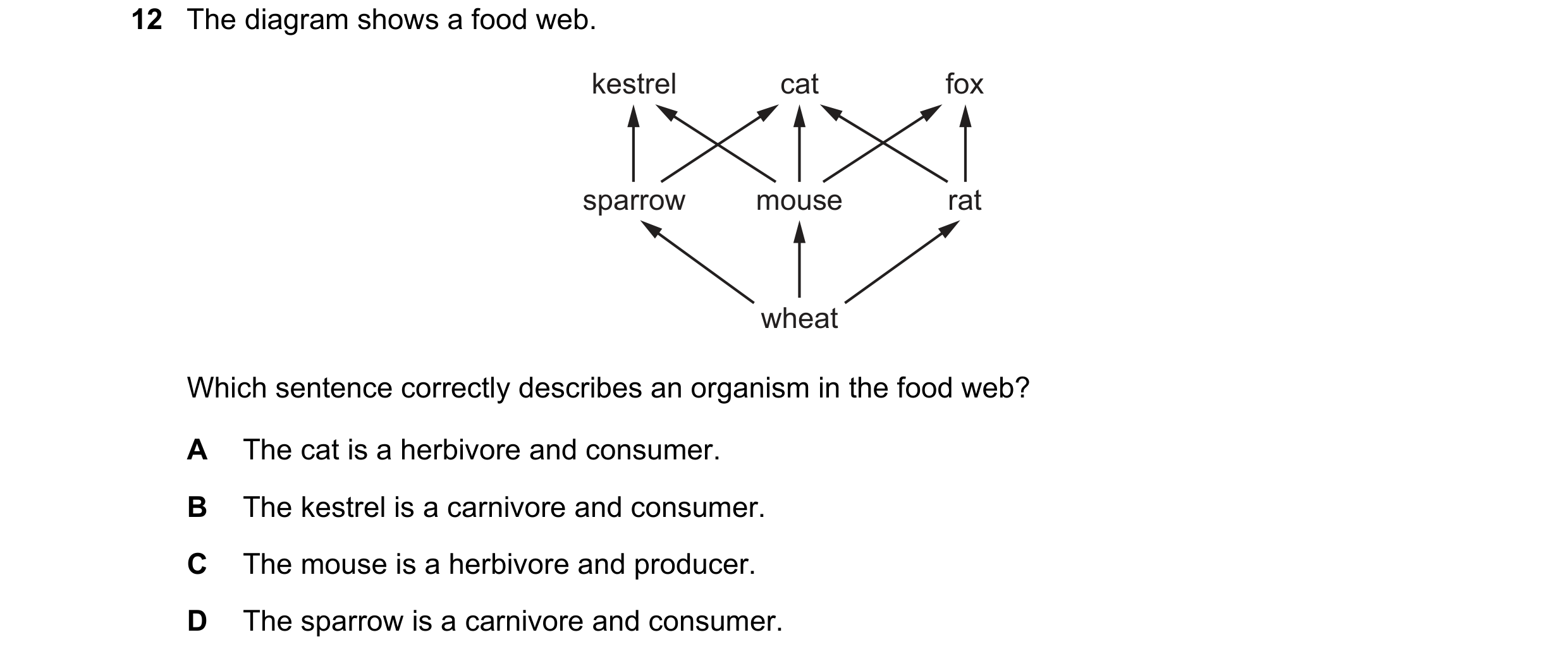Question 37: The diagram shows a food web. kestrel cat fox sparrow mouse rat wheat Which sentence correctly describes an organism in the food web? A The…