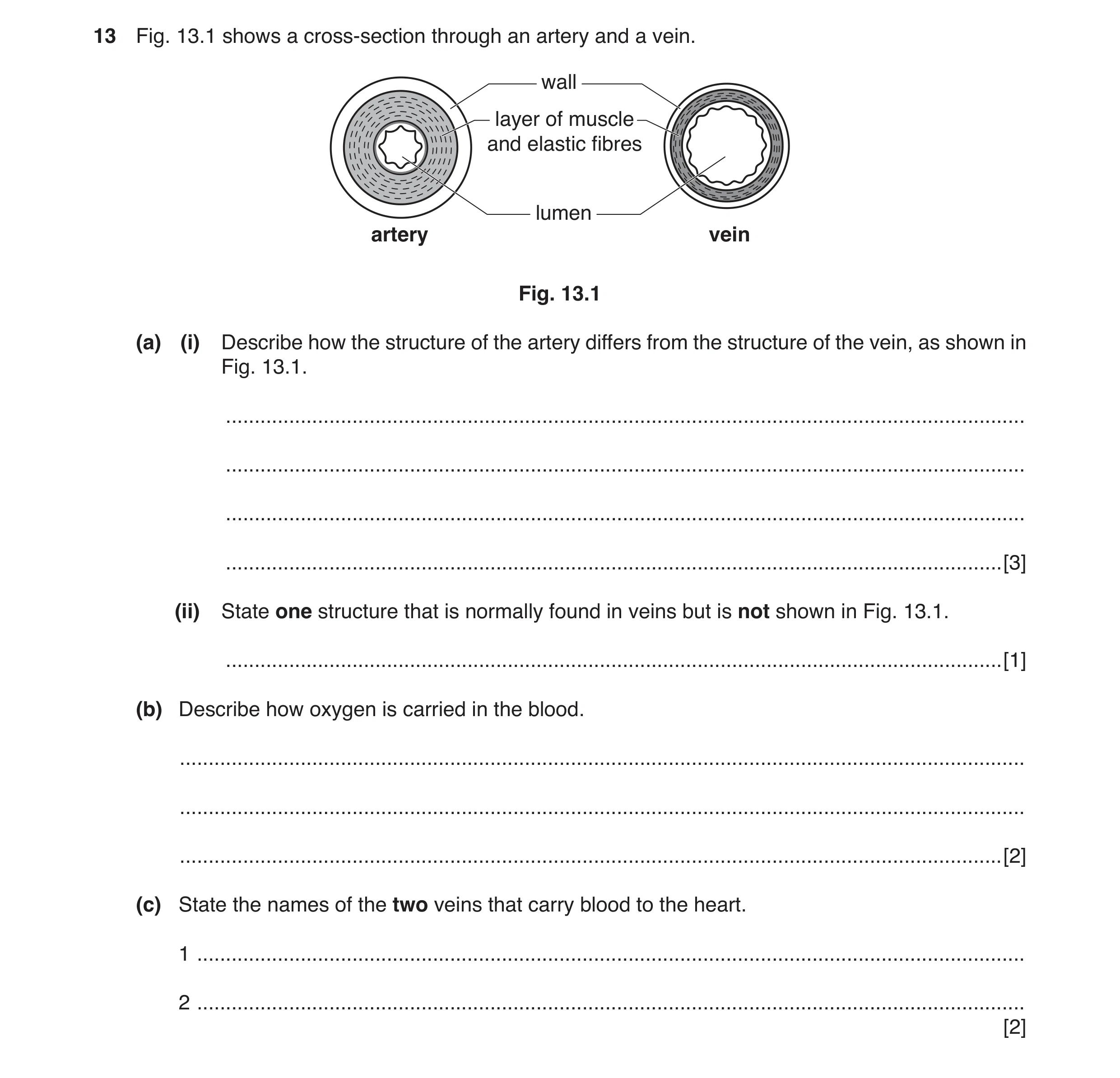 Question 2: Fig. 13.1 shows a cross-section through an artery and a vein. wall layer of muscle and elastic fibres lumen artery vein Fig. 13.1 (a) (i) D…