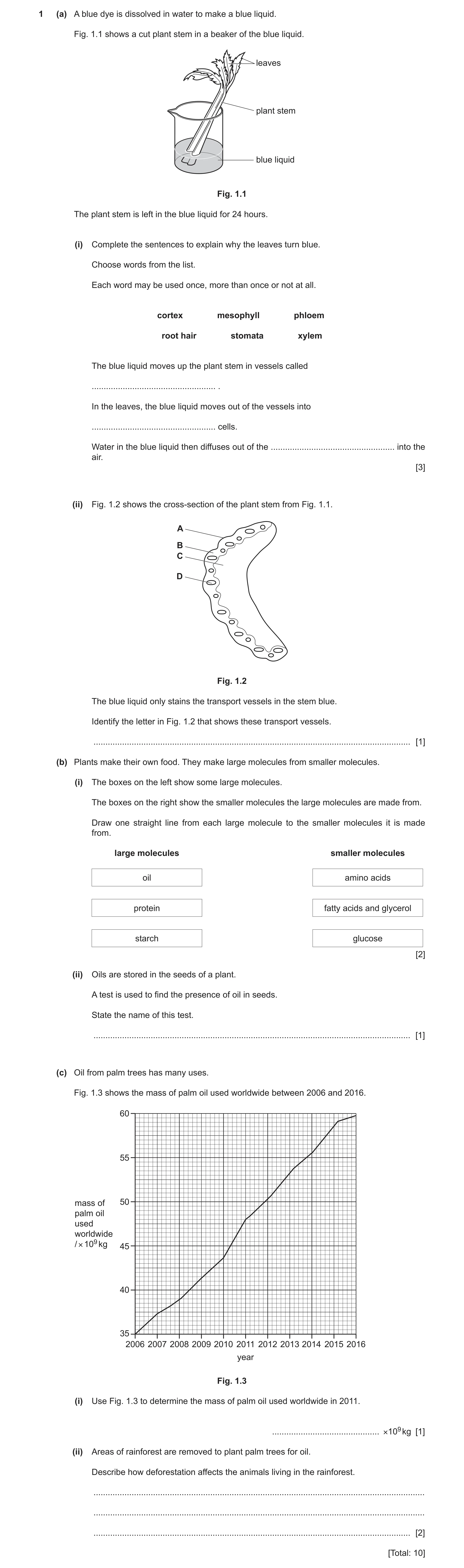 Question 11: (a) A blue dye is dissolved in water to make a blue liquid. Fig. 1.1 shows a cut plant stem in a beaker of the blue liquid. leaves plant st…