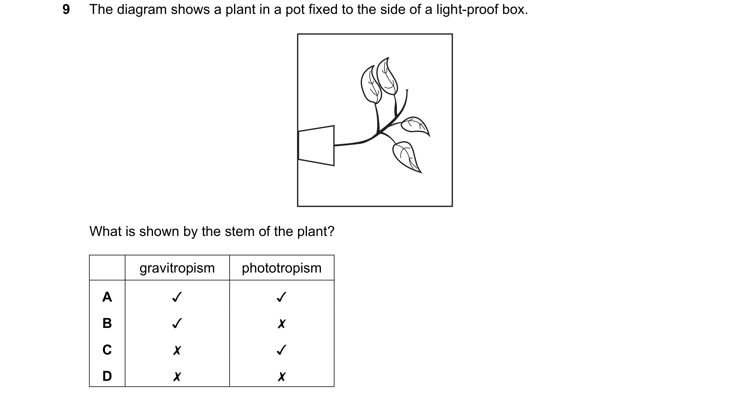 Question 85: The diagram shows a plant in a pot fixed to the side of a light-proof box.
©
wn
ac
What is shown by the stem of the plant?
gravitropism …