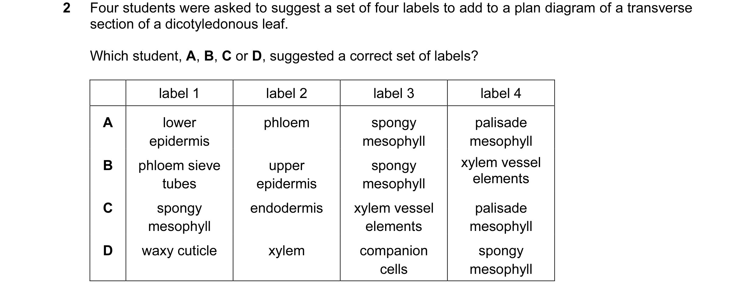Question 19: Four students were asked to suggest a set of four labels to add to a plan diagram of a transverse section of a dicotyledonous leaf. Which s…