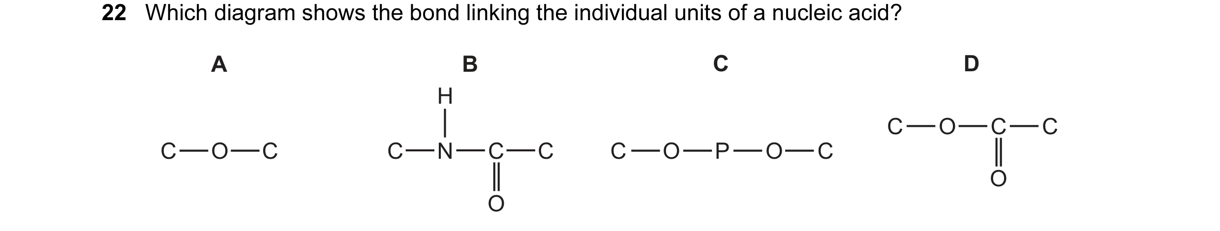 Question 50: Which diagram shows the bond linking the individual units of a nucleic acid? A B C D H C O C C C O C C N C C C O P O C O O