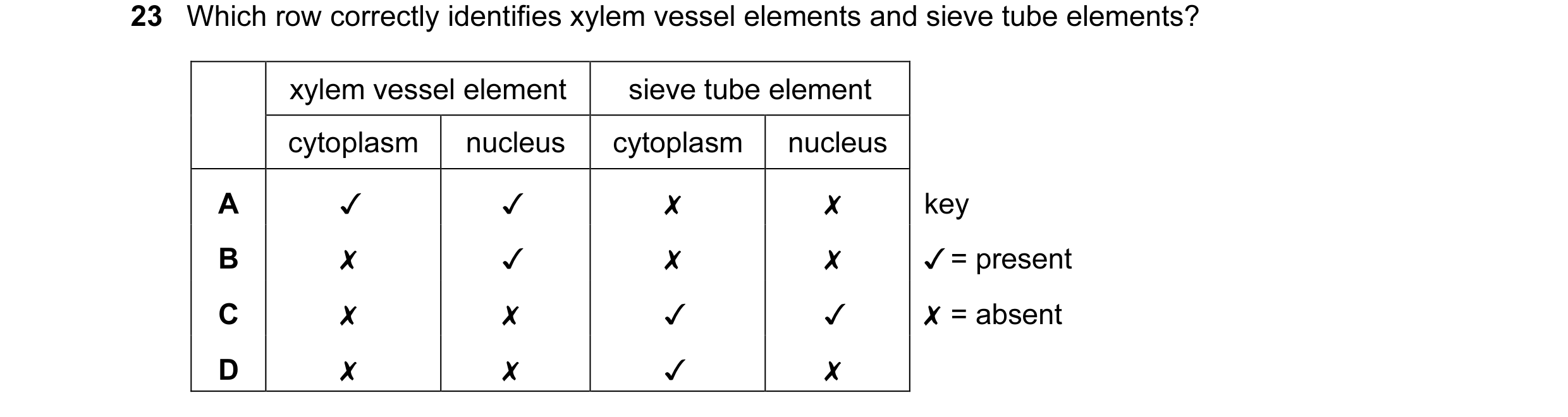 Question 20: Which row correctly identifies xylem vessel elements and sieve tube elements?

xylem vessel element sieve tube element

cytoplasm | nucleus…