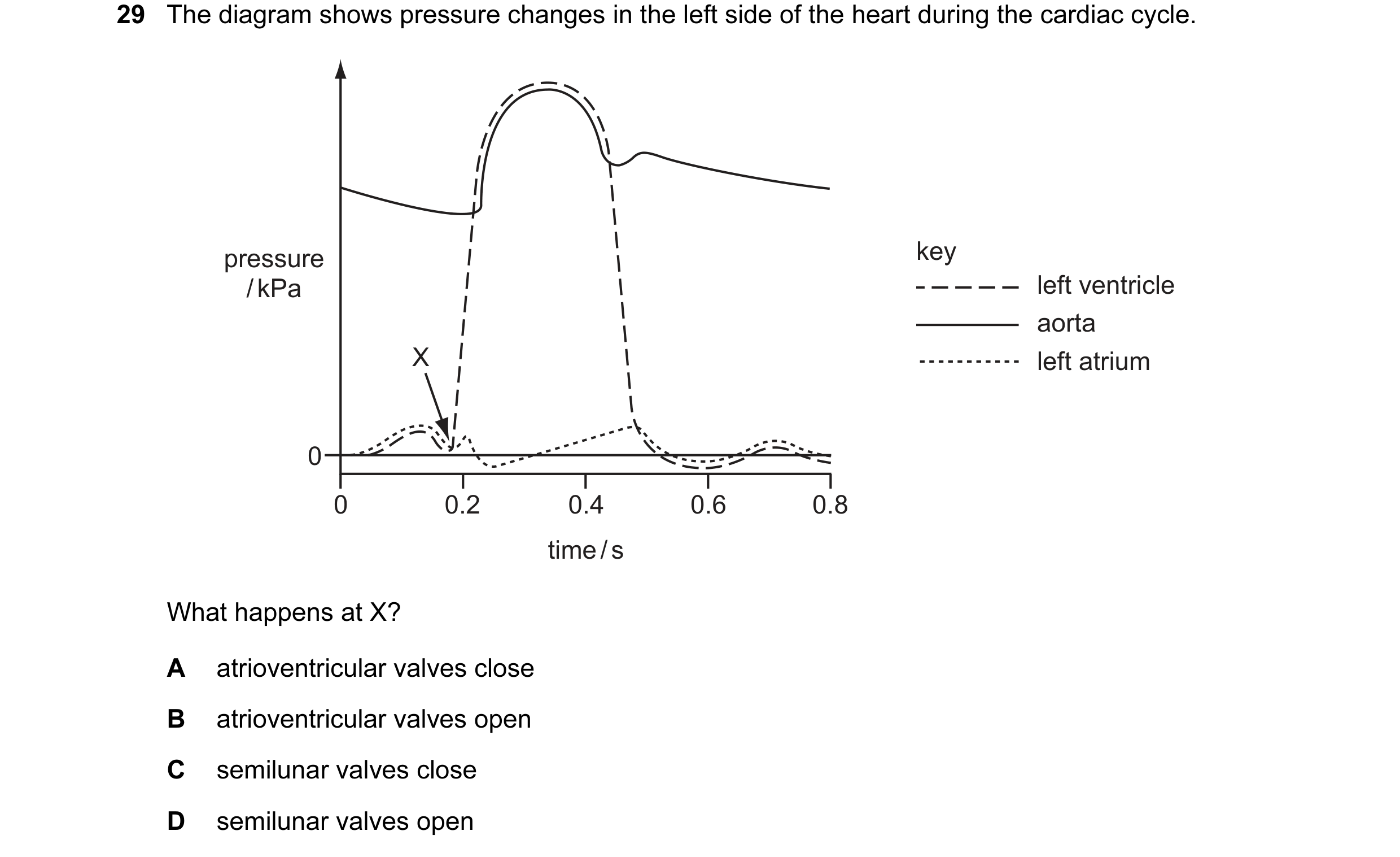 Question 31: The diagram shows pressure changes in the left side of the heart during the cardiac cycle. pressure key / kPa left ventricle aorta X left a…