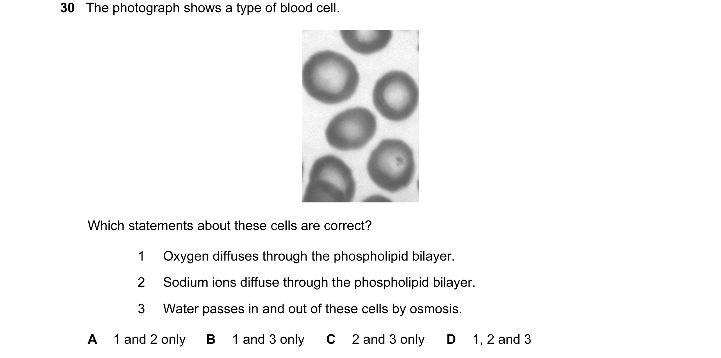Question 53: The photograph shows a type of blood cell. Which statements about these cells are correct? 1 Oxygen diffuses through the phospholipid bilay…