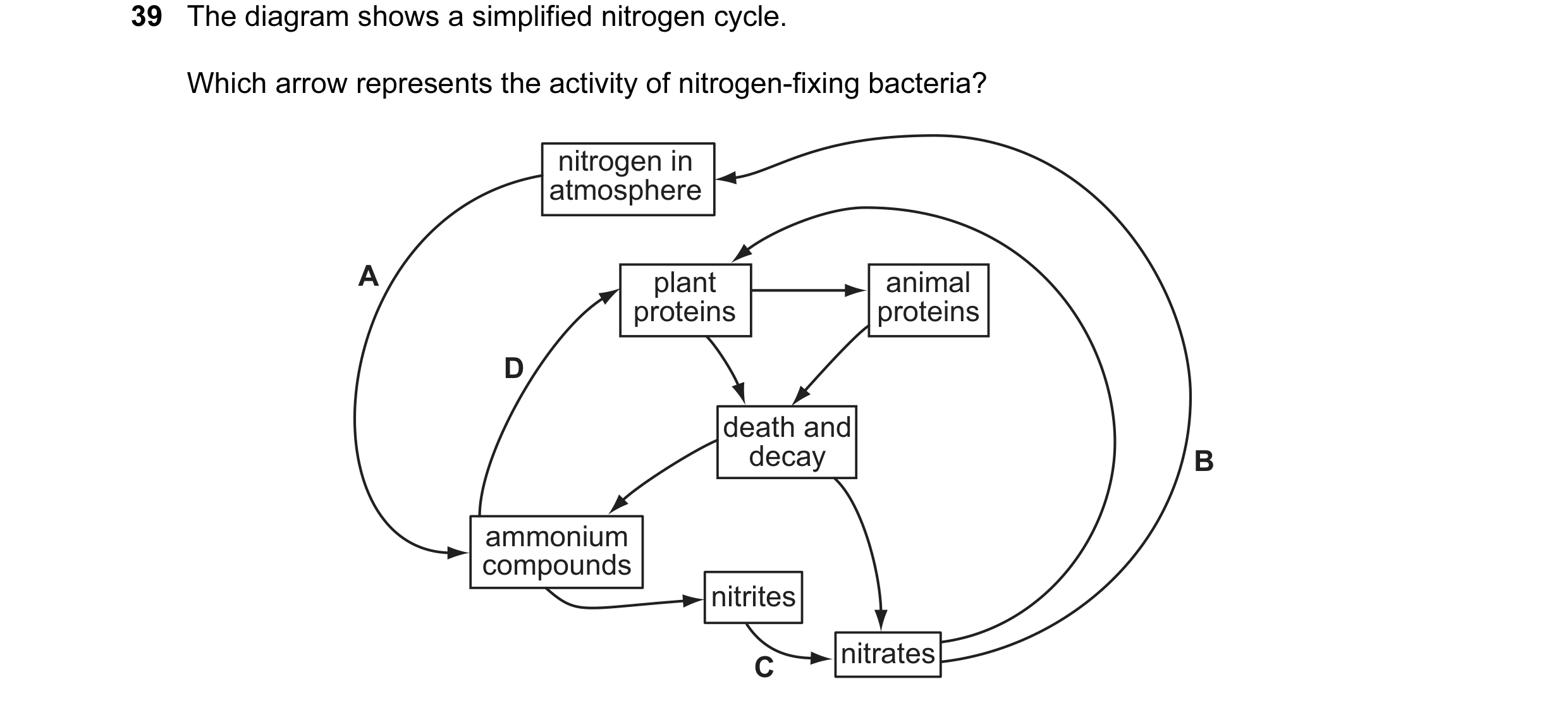 Question 38: The diagram shows a simplified nitrogen cycle. Which arrow represents the activity of nitrogen-fixing bacteria? nitrogen in atmosphere A pl…