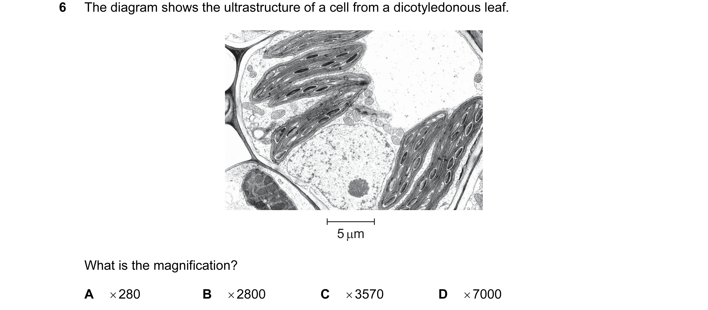 Question 54: The diagram shows the ultrastructure of a cell from a dicotyledonous leaf. 5 µm What is the magnification? A × 280 B × 2800 C × 3570 D × 70…