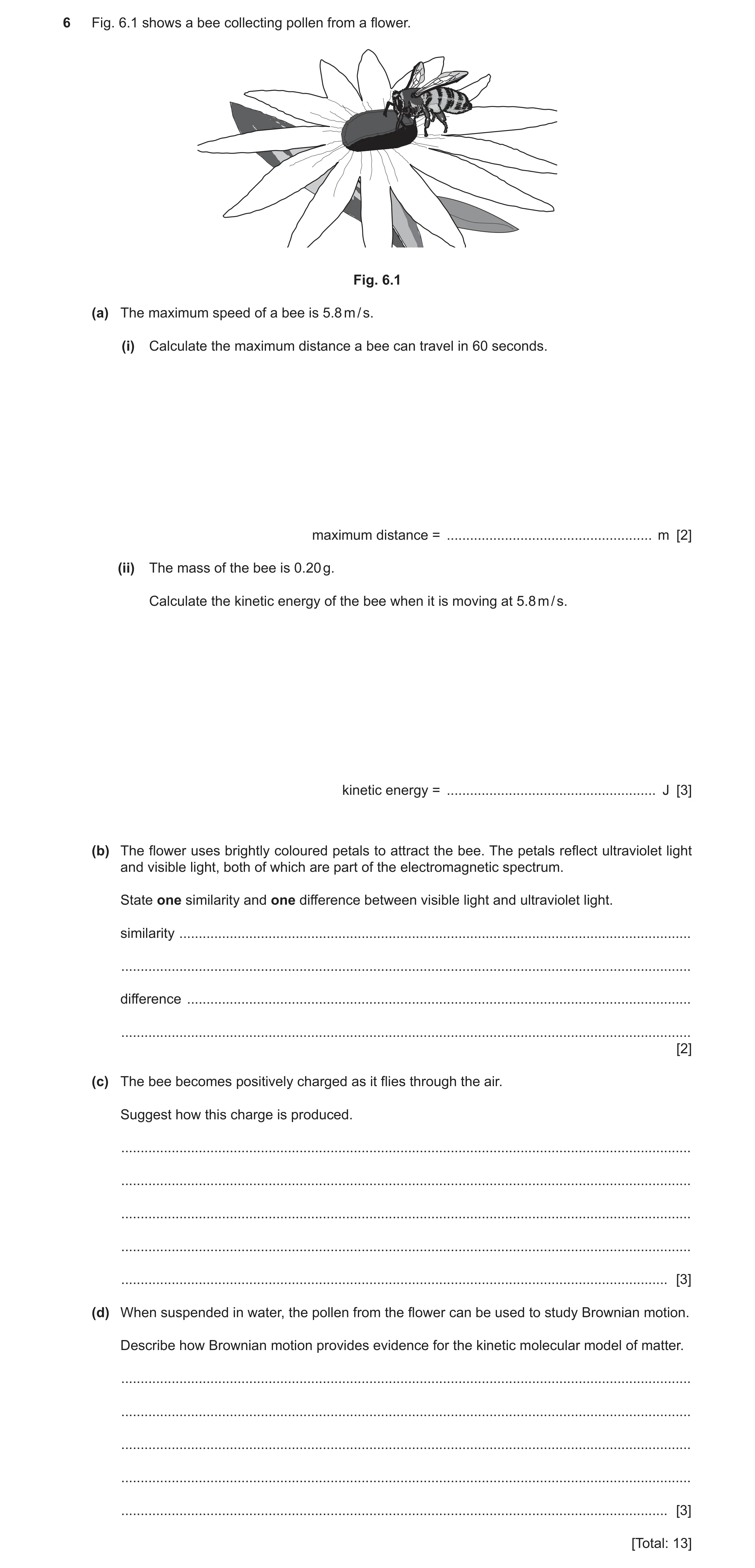 Question 19: Fig. 6.1 shows a bee collecting pollen from a flower. Fig. 6.1 (a) The maximum speed of a bee is 5.8 m / s. (i) Calculate the maximum dista…