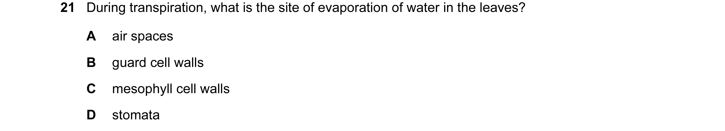 Question 37: During transpiration, what is the site of evaporation of water in the leaves? A air spaces B guard cell walls C mesophyll cell walls D stom…