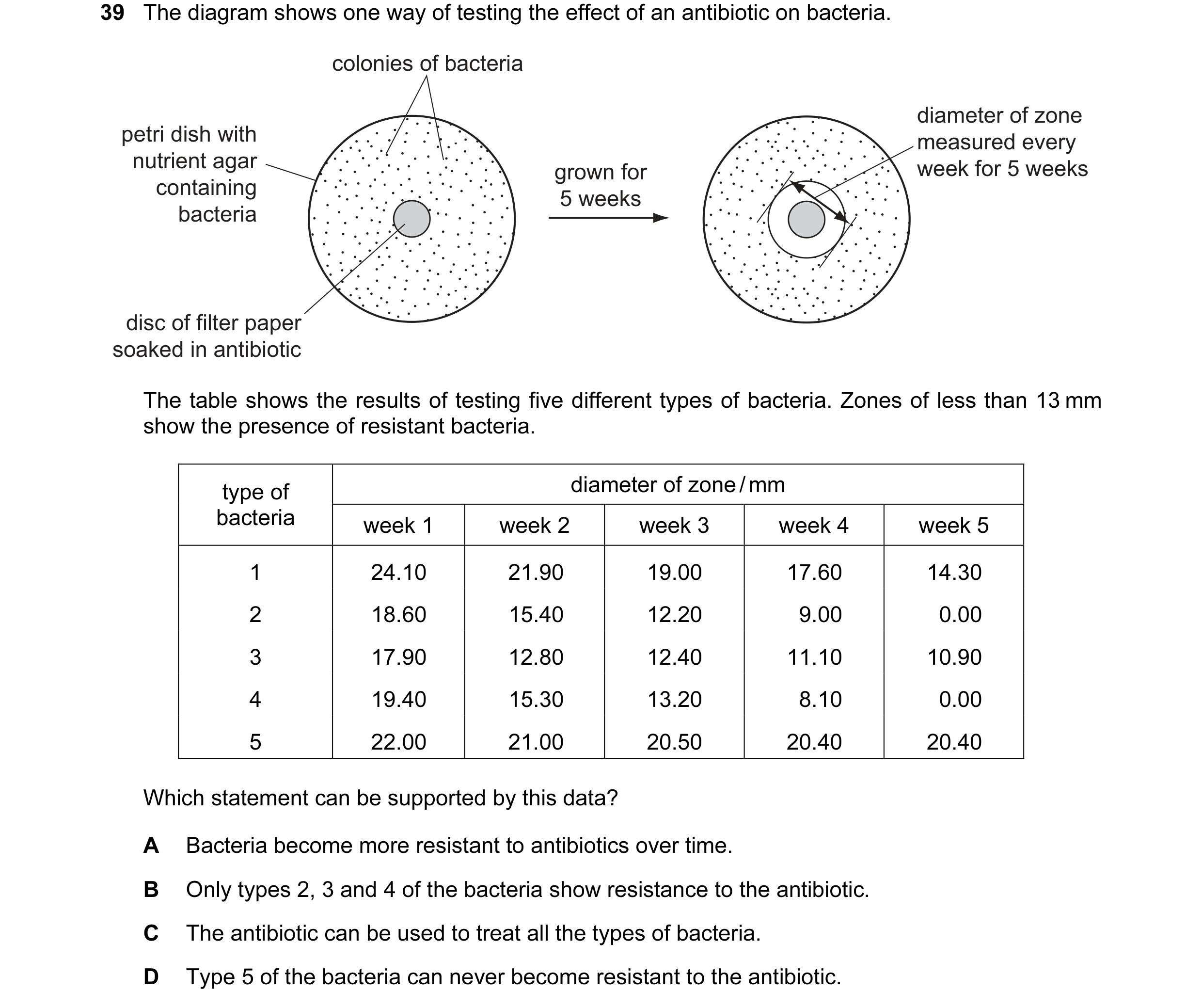 Question 11: The diagram shows one way of testing the effect of an antibiotic on bacteria. colonies of bacteria diameter of zone petri dish with measure…