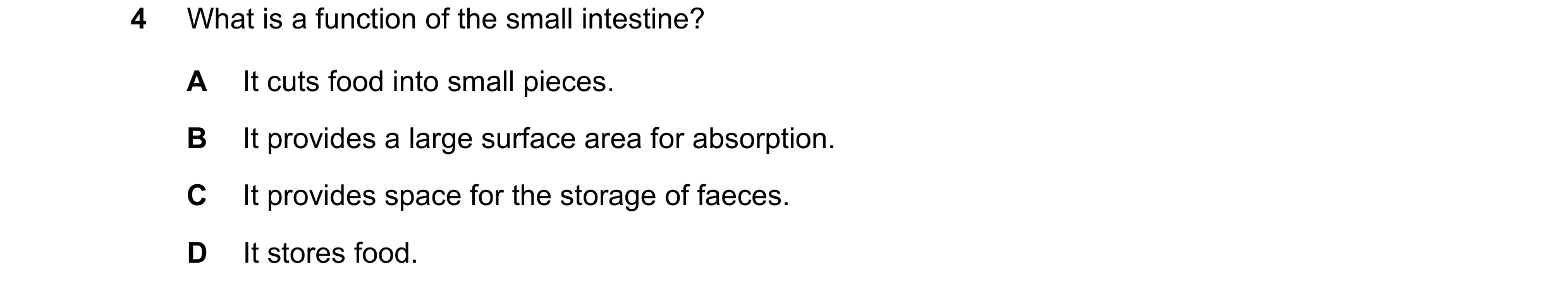 Question 28: What is a function of the small intestine? A It cuts food into small pieces. B It provides a large surface area for absorption. C It provid…