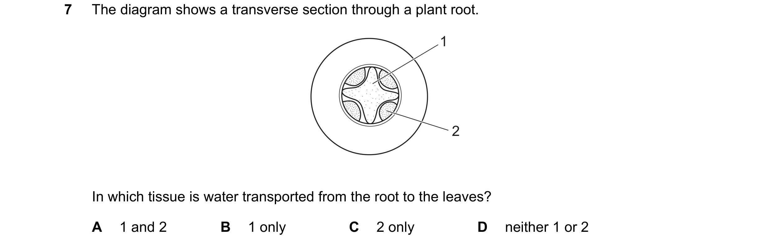 Question 12: The diagram shows a transverse section through a plant root. 1 2 In which tissue is water transported from the root to the leaves? A 1 and …