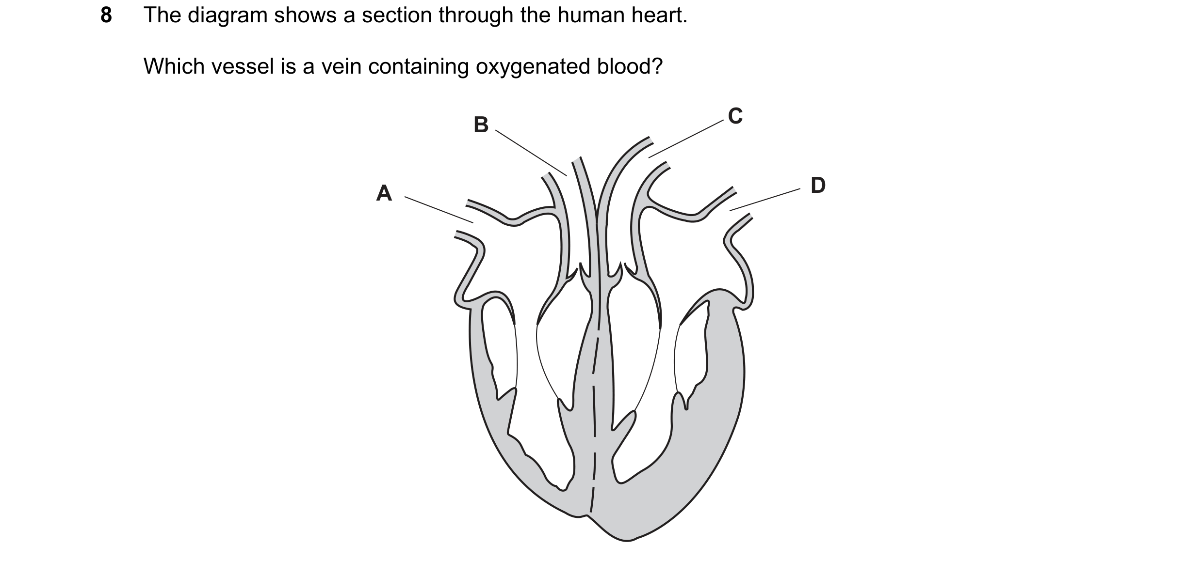 Question 50: The diagram shows a section through the human heart. Which vessel is a vein containing oxygenated blood? B C A D