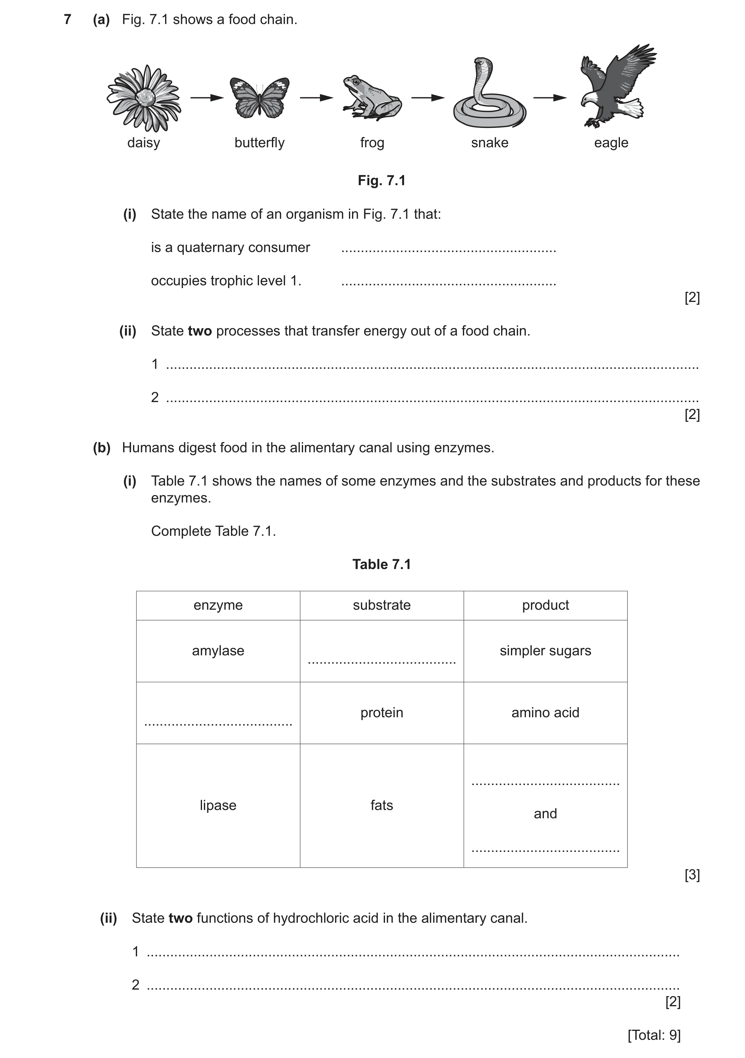 Question 18: (a) Fig. 7.1 shows a food chain. daisy butterfly frog snake eagle Fig. 7.1 (i) State the name of an organism in Fig. 7.1 that: is a quatern…
