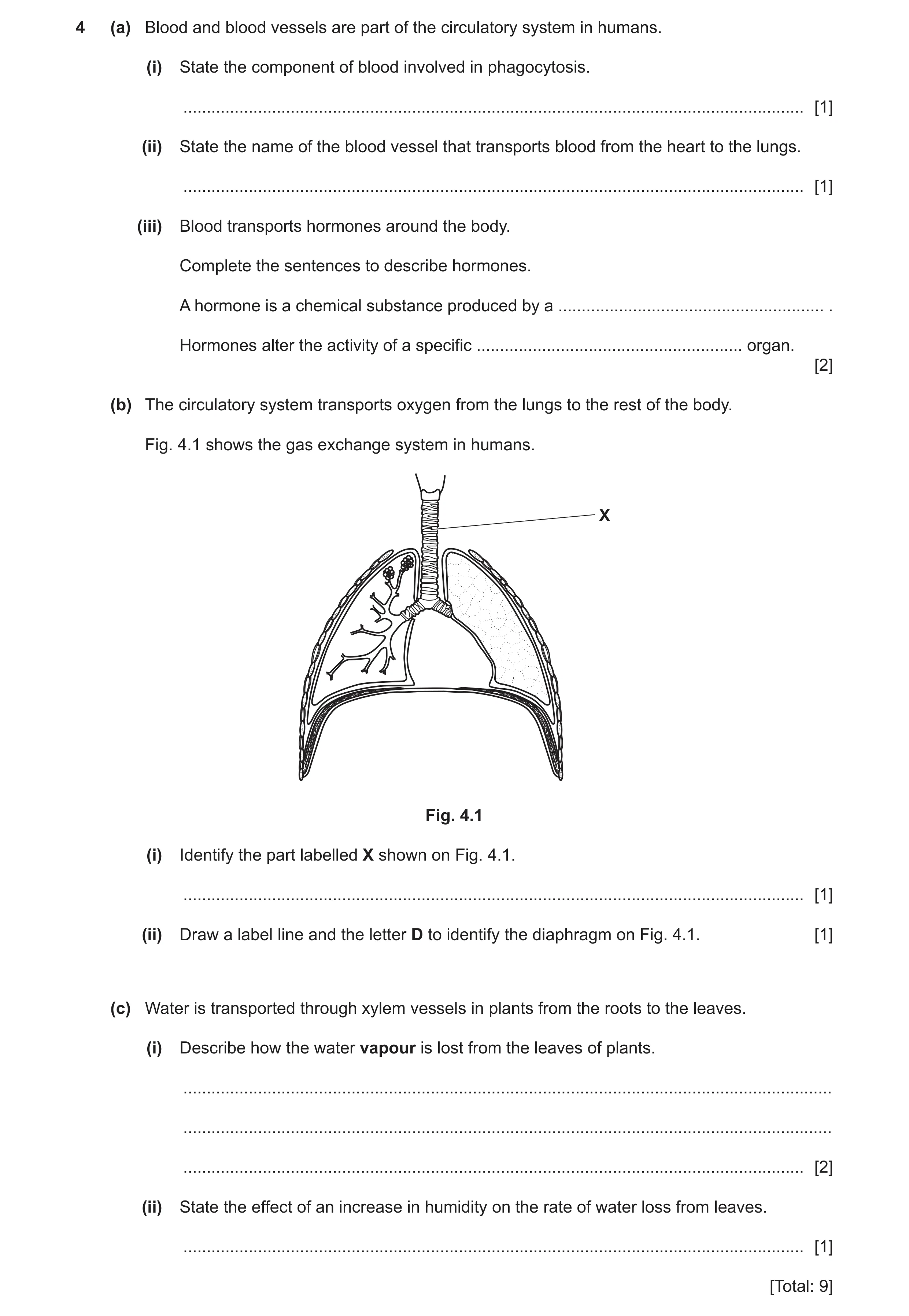 Question 18: (a) Blood and blood vessels are part of the circulatory system in humans. (i) State the component of blood involved in phagocytosis. ......…