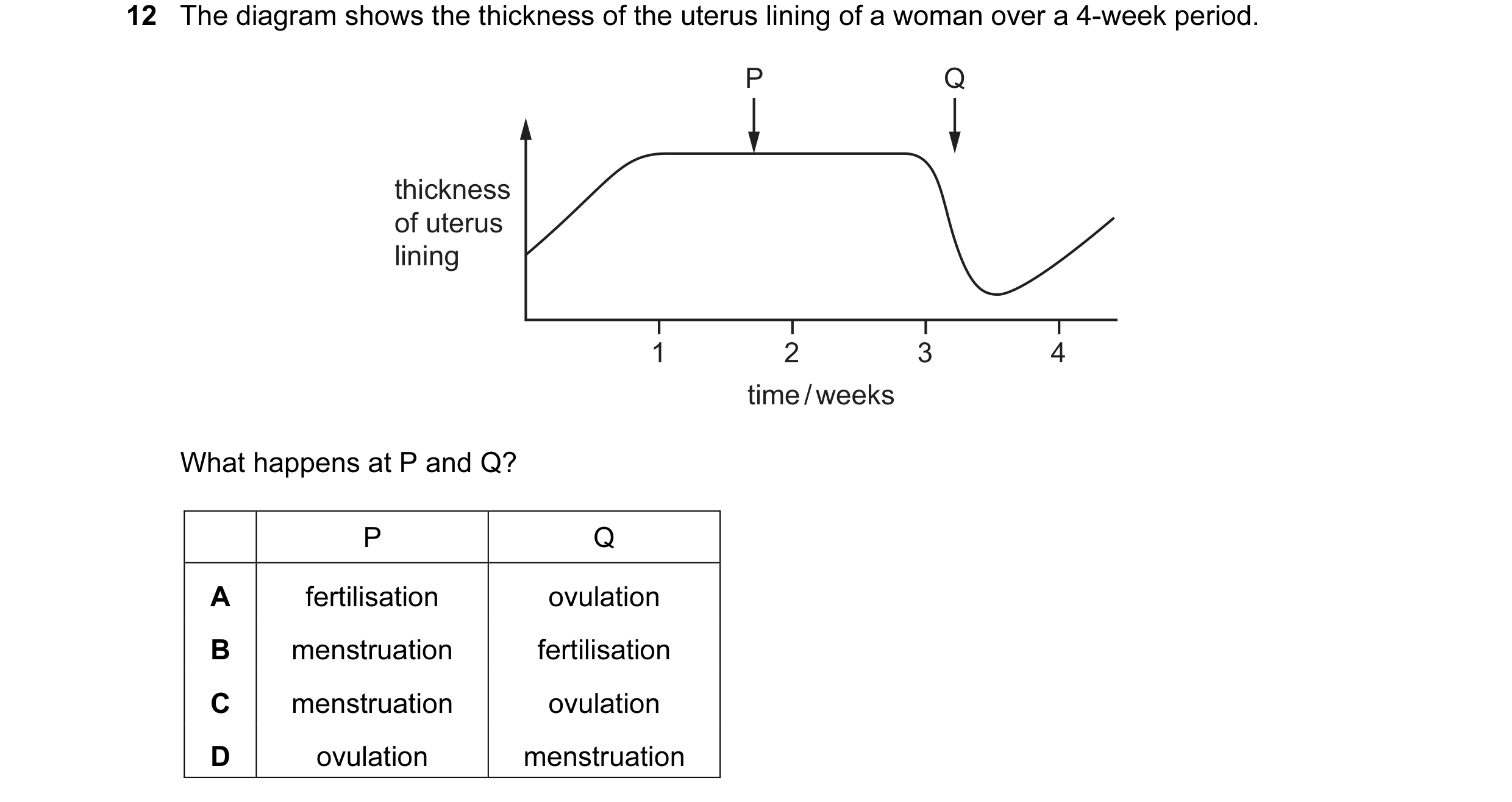 Question 38: The diagram shows the thickness of the uterus lining of a woman over a 4-week period. P Q thickness of uterus lining 1 2 3 4 time / weeks W…