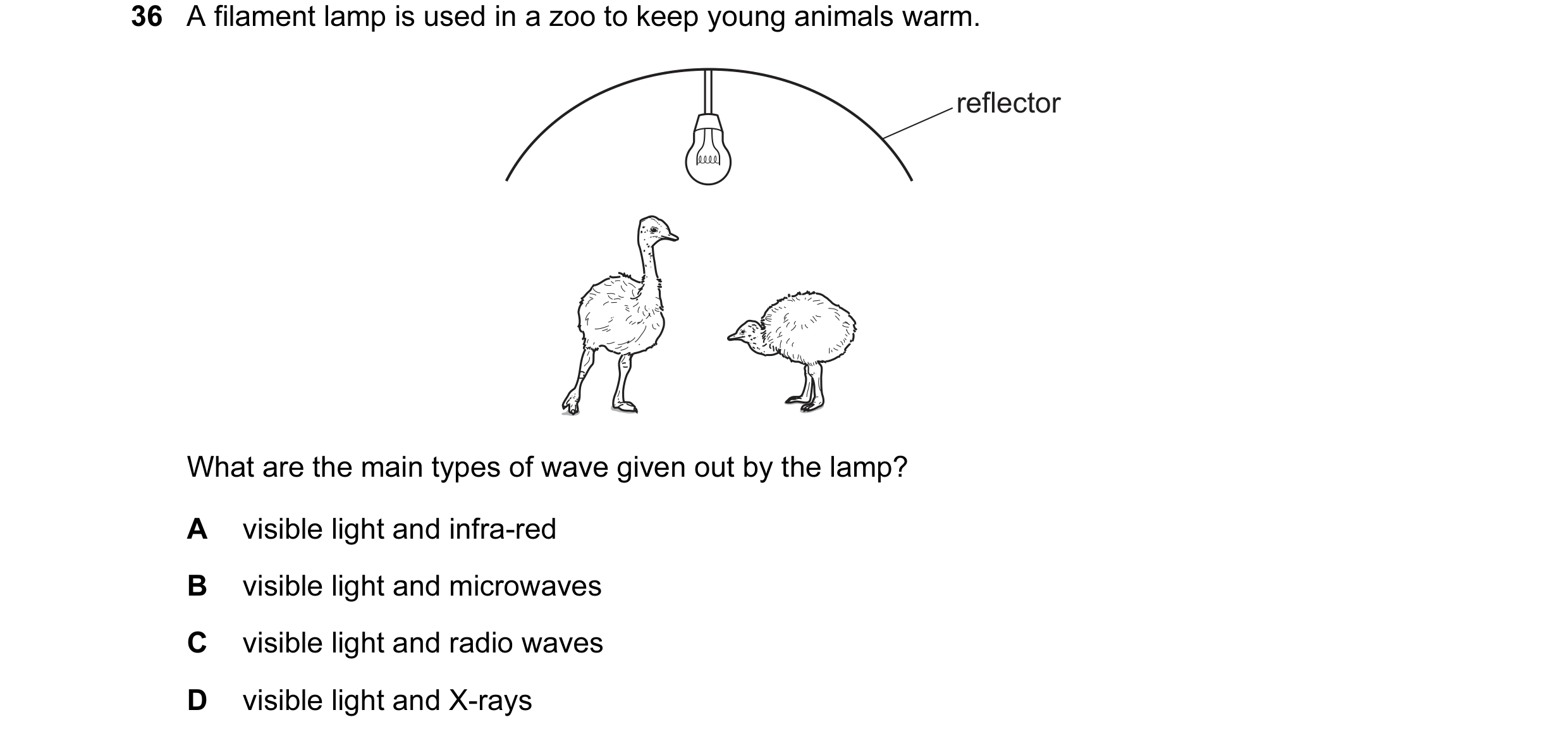 Question 42: A filament lamp is used in a zoo to keep young animals warm. reflector What are the main types of wave given out by the lamp? A visible lig…