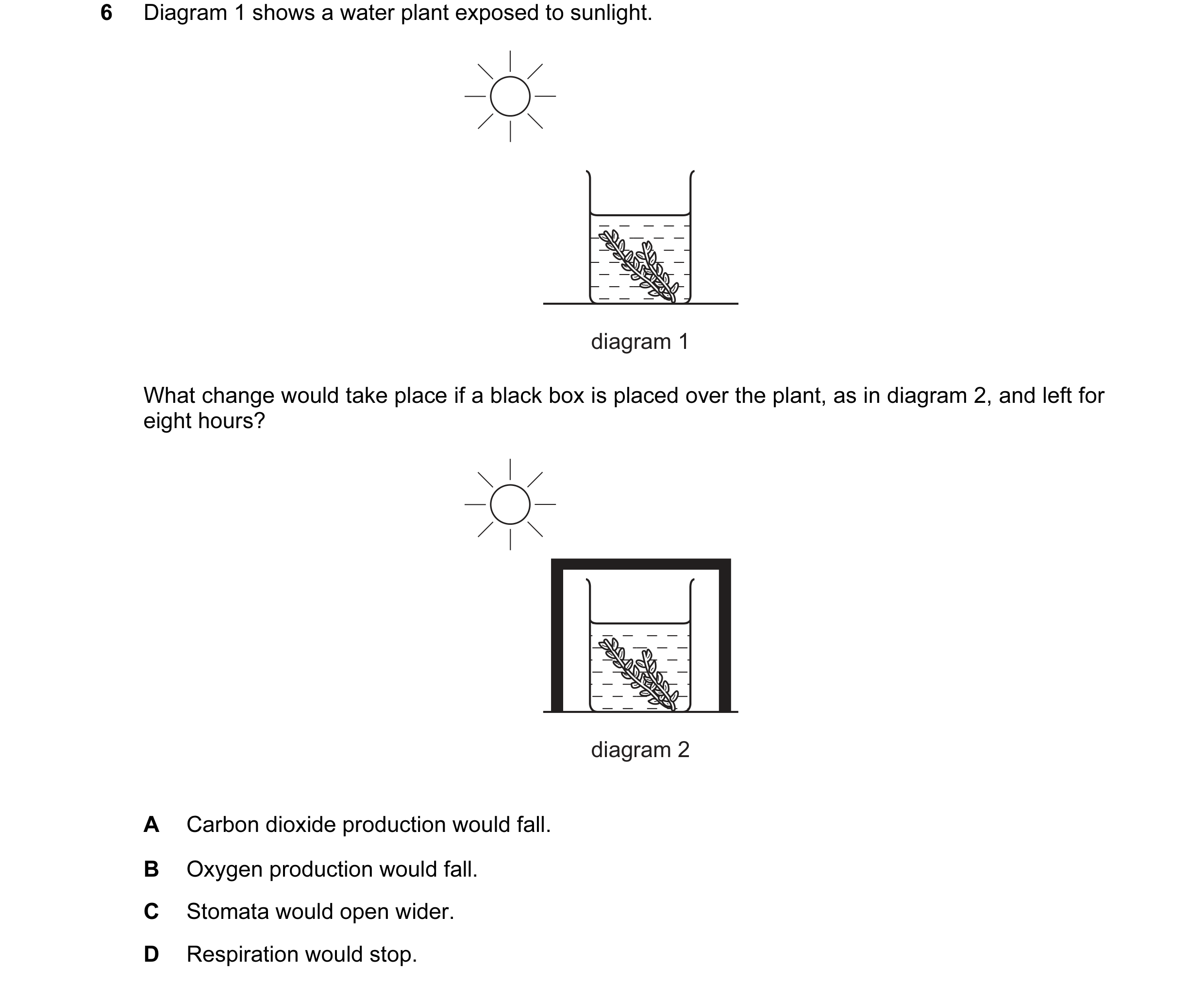 Question 39: Diagram 1 shows a water plant exposed to sunlight. diagram 1 What change would take place if a black box is placed over the plant, as in di…