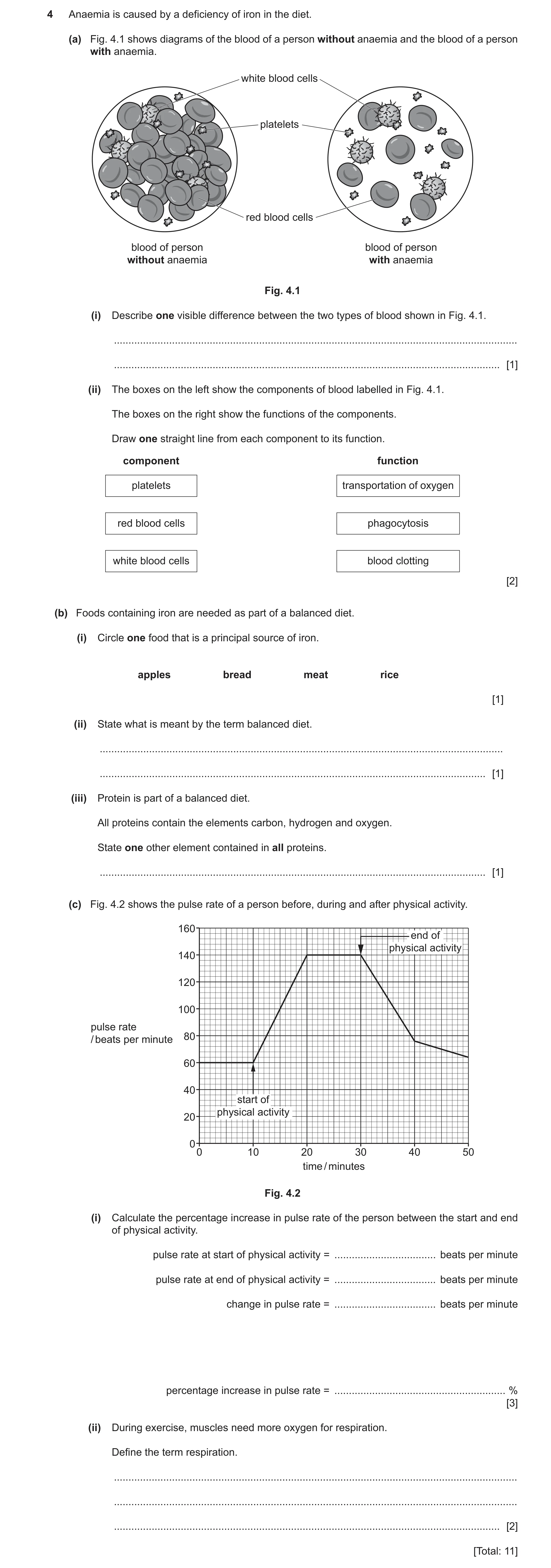 Question 17: Anaemia is caused by a deficiency of iron in the diet. (a) Fig. 4.1 shows diagrams of the blood of a person without anaemia and the blood o…
