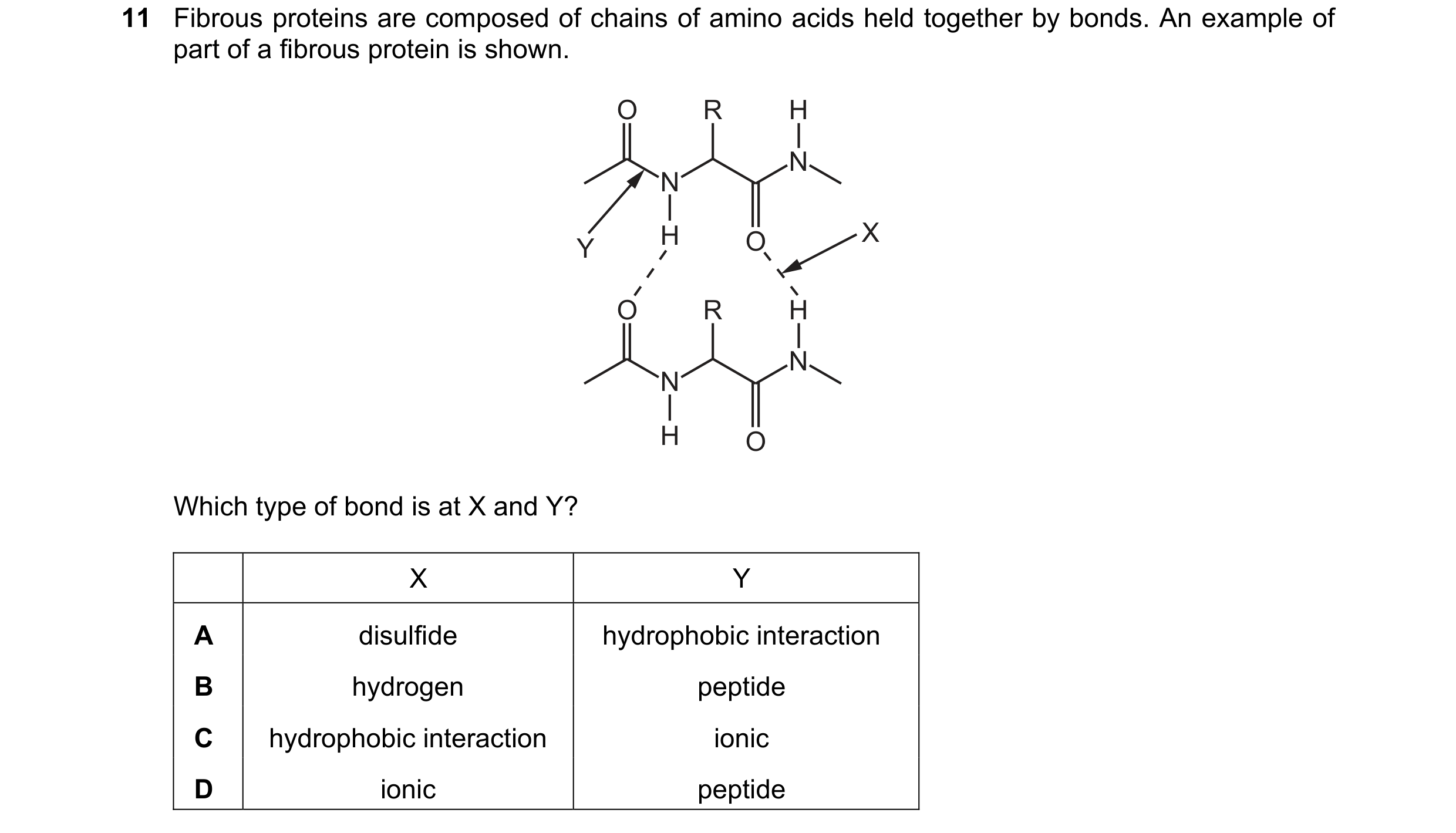 Question 158: Fibrous proteins are composed of chains of amino acids held together by bonds. An example of part of a fibrous protein is shown. O R H N N …