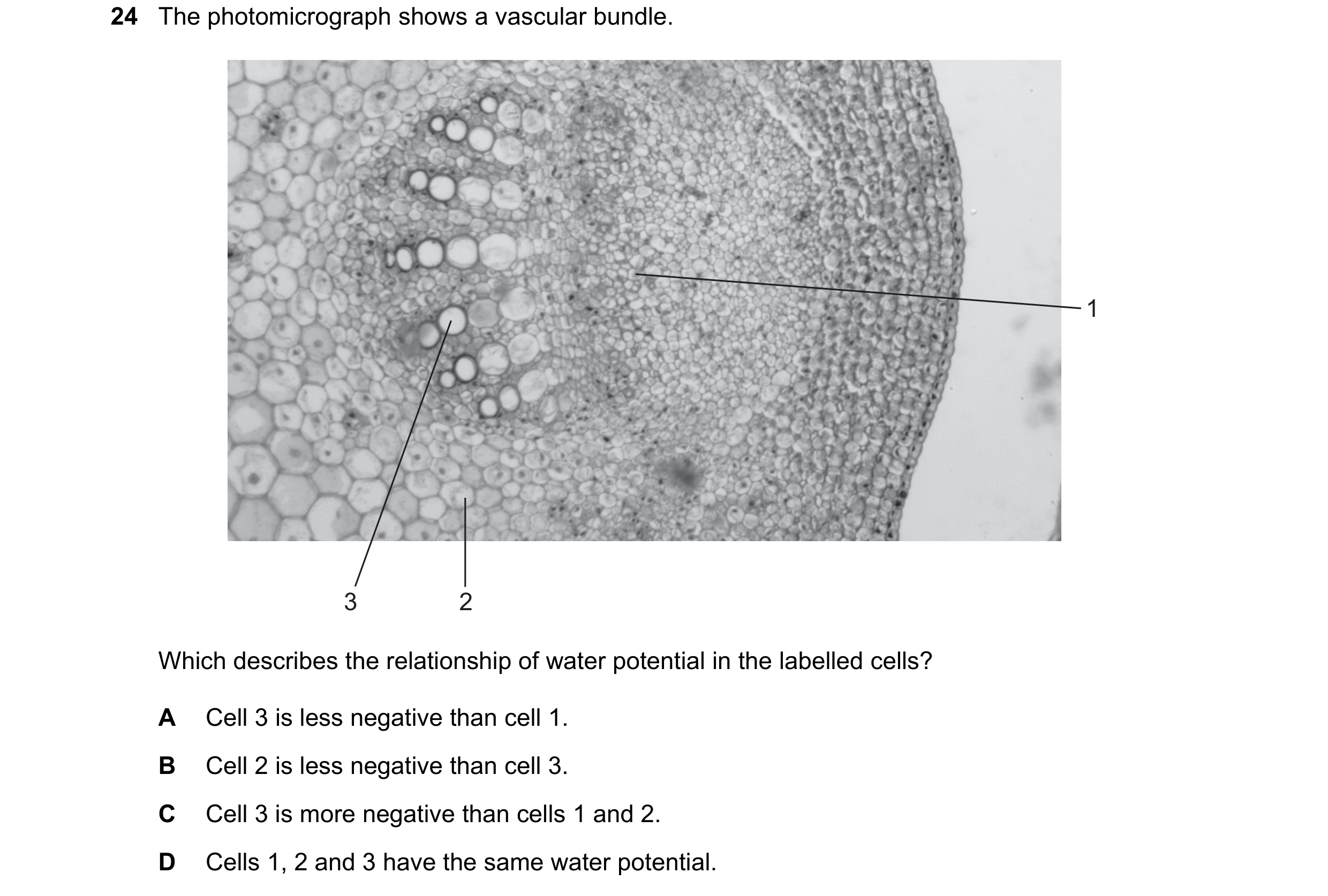 Question 70: The photomicrograph shows a vascular bundle. 1 3 2 Which describes the relationship of water potential in the labelled cells? A Cell 3 is l…