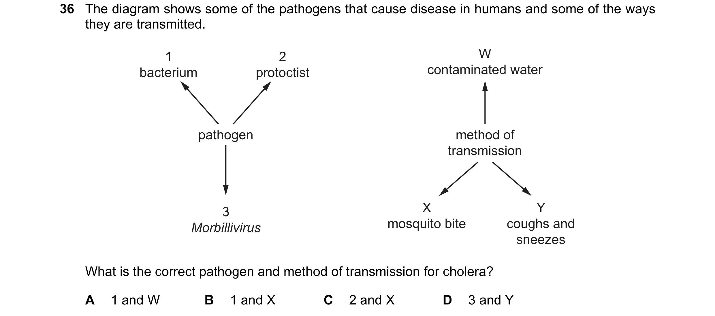 Question 111: The diagram shows some of the pathogens that cause disease in humans and some of the ways they are transmitted. 1 2 W bacterium protoctist …